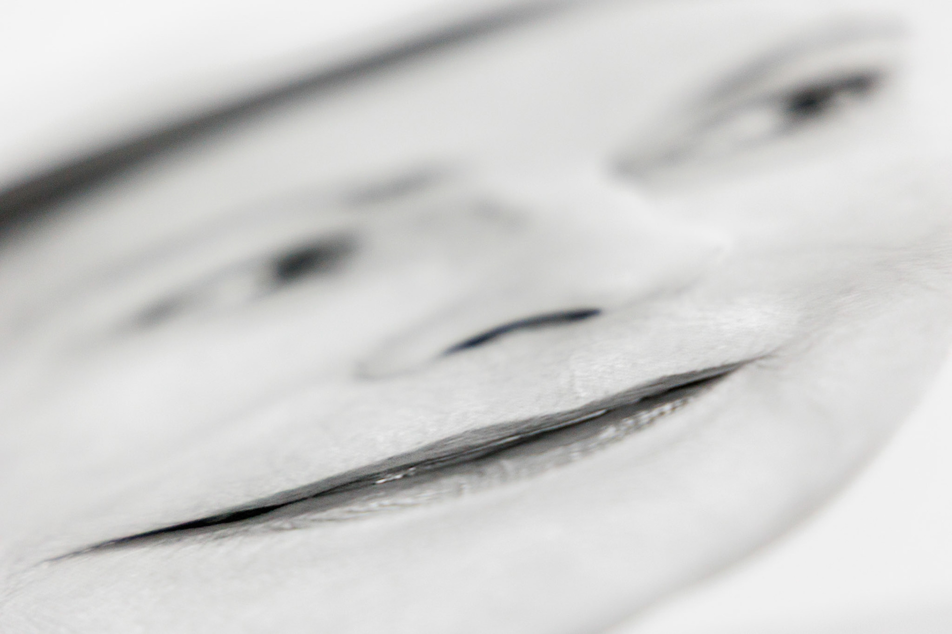 Christiane Schaufler-Münch