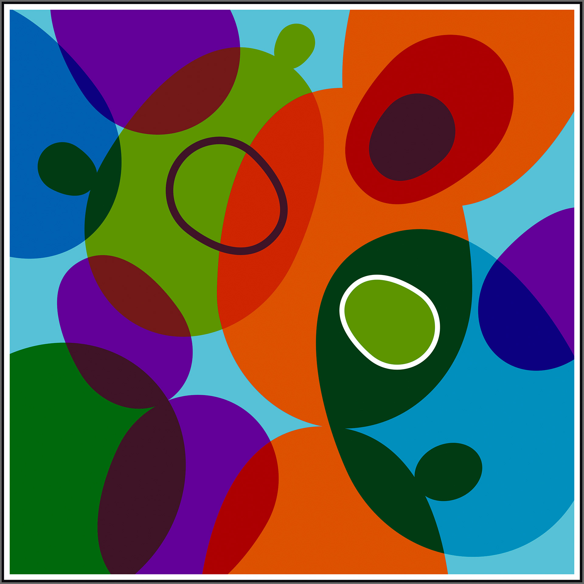 CACTUS 01 I 2021