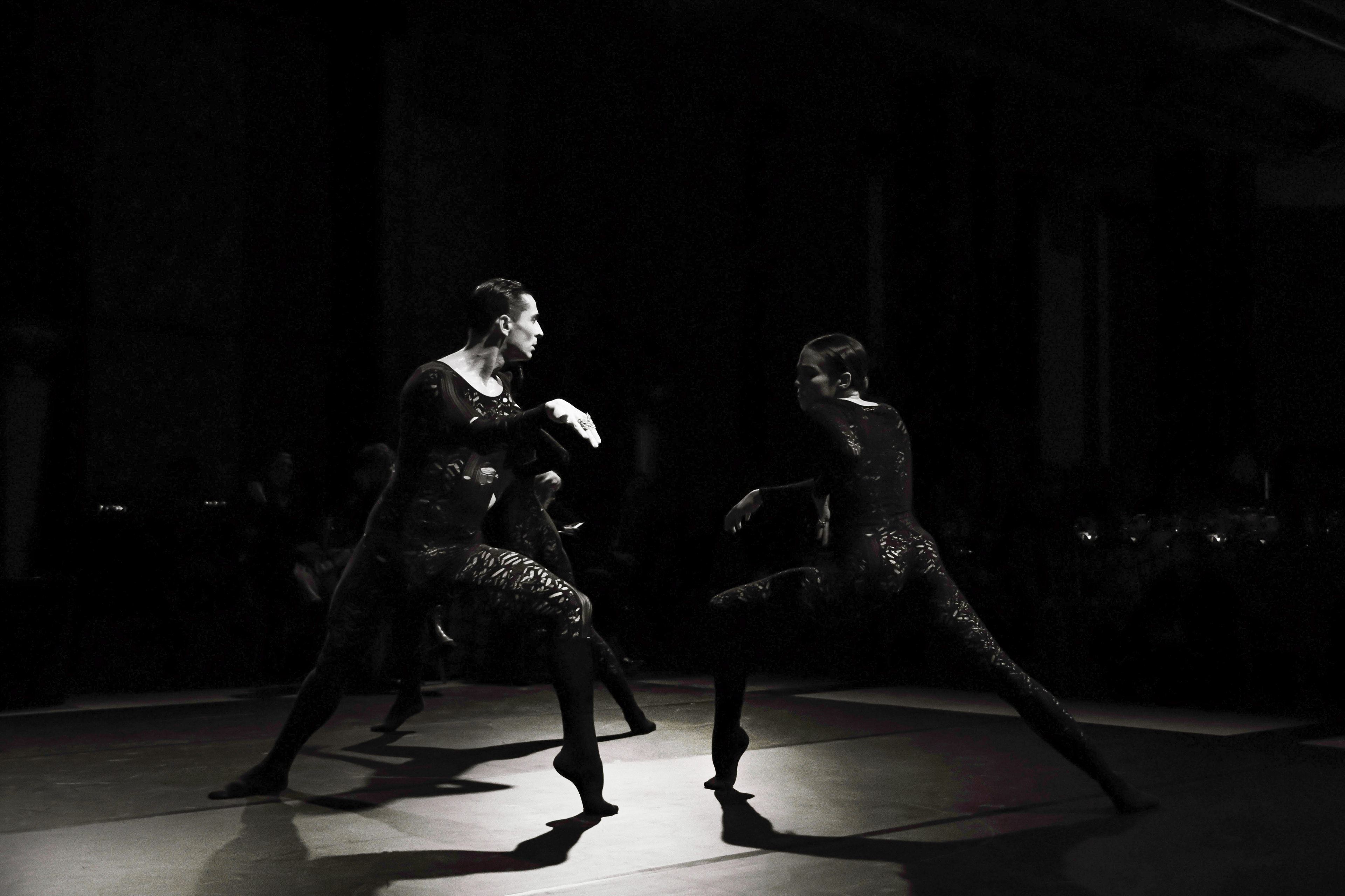 Chaillot - Dior