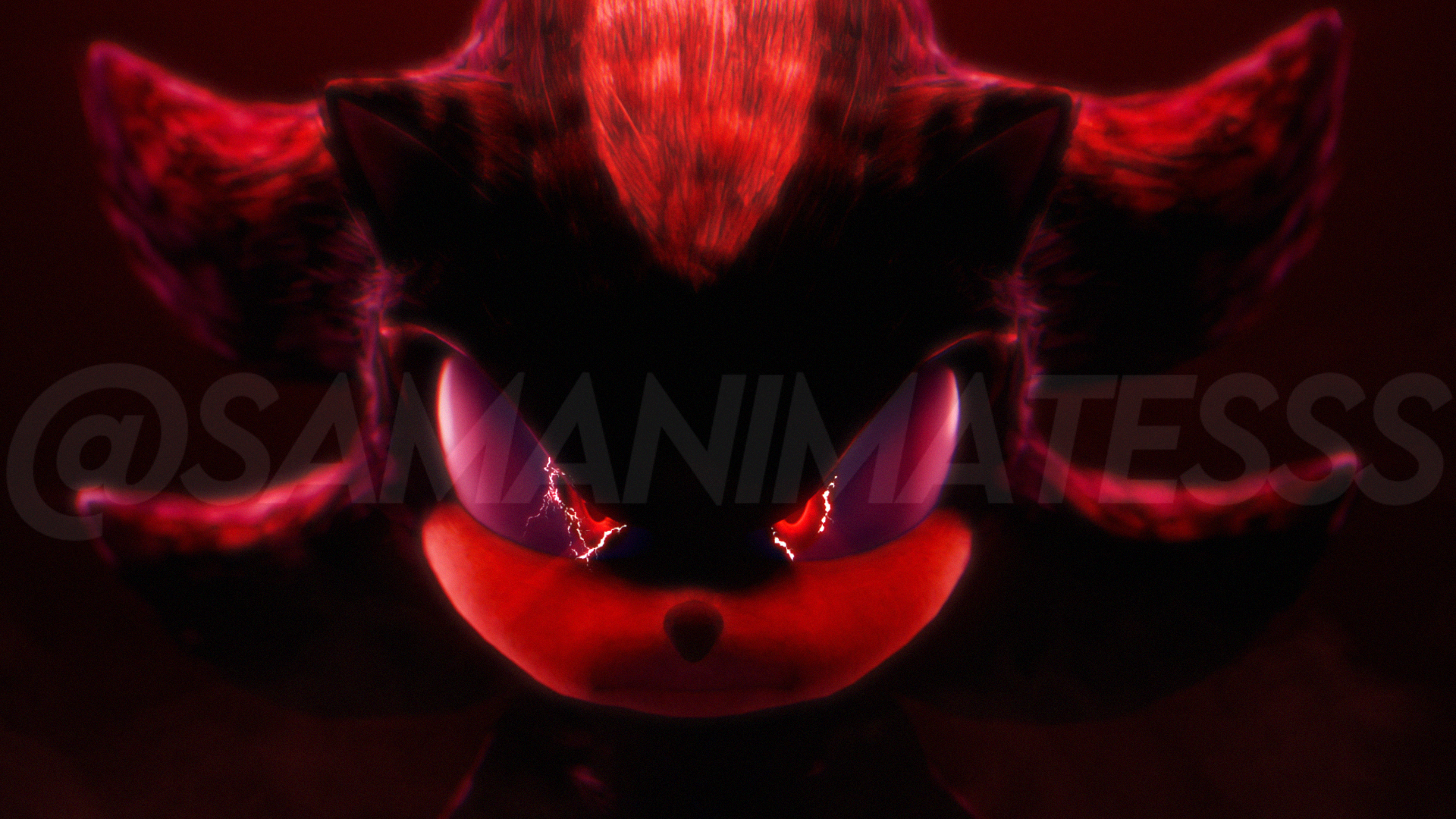 "SHADOW THE HEDGEHOG"