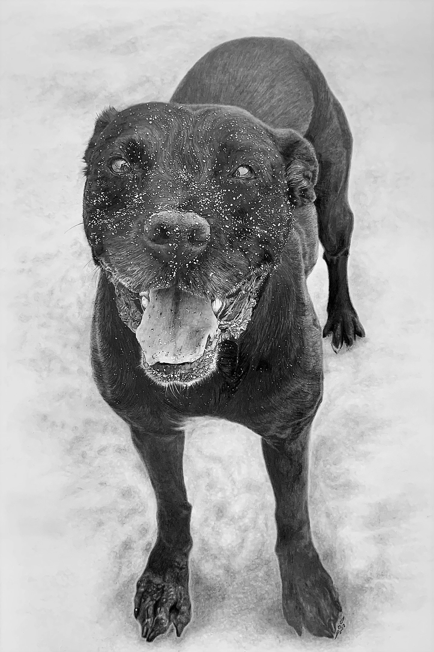 Wilma