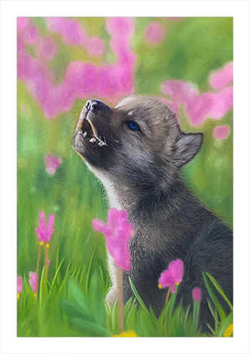 Spring Pup