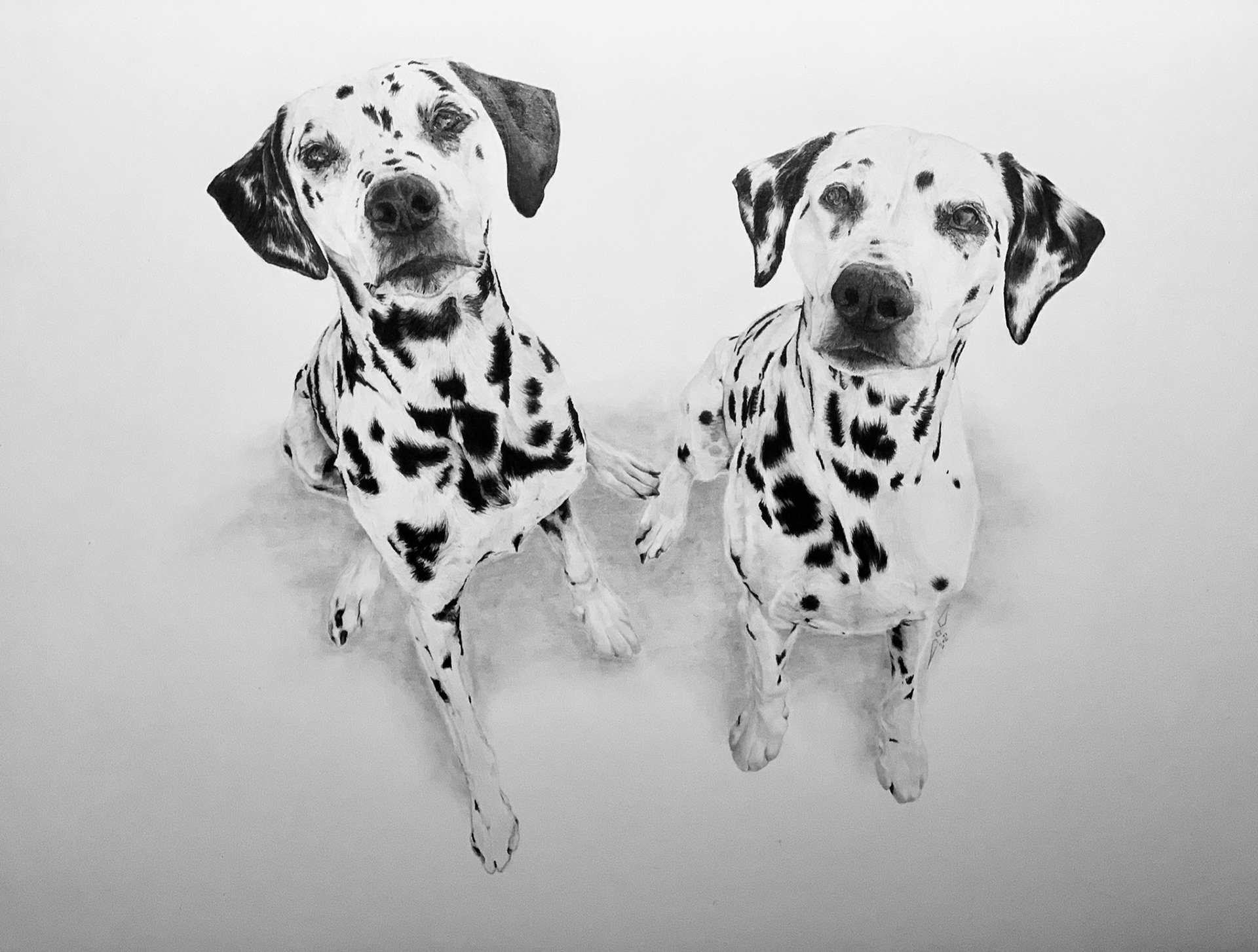 Carla & Carlos Portrait