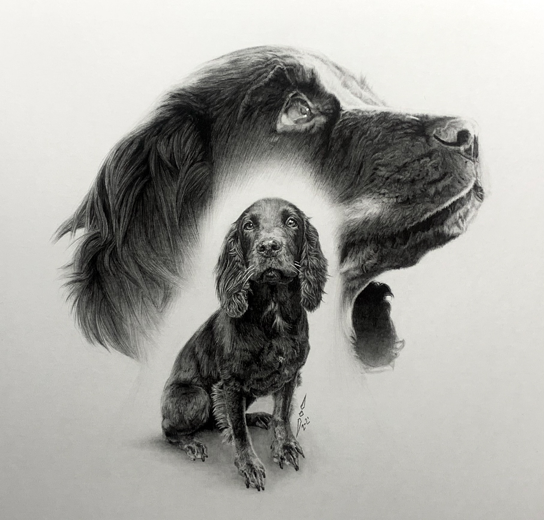 Sage [memorial] Portrait