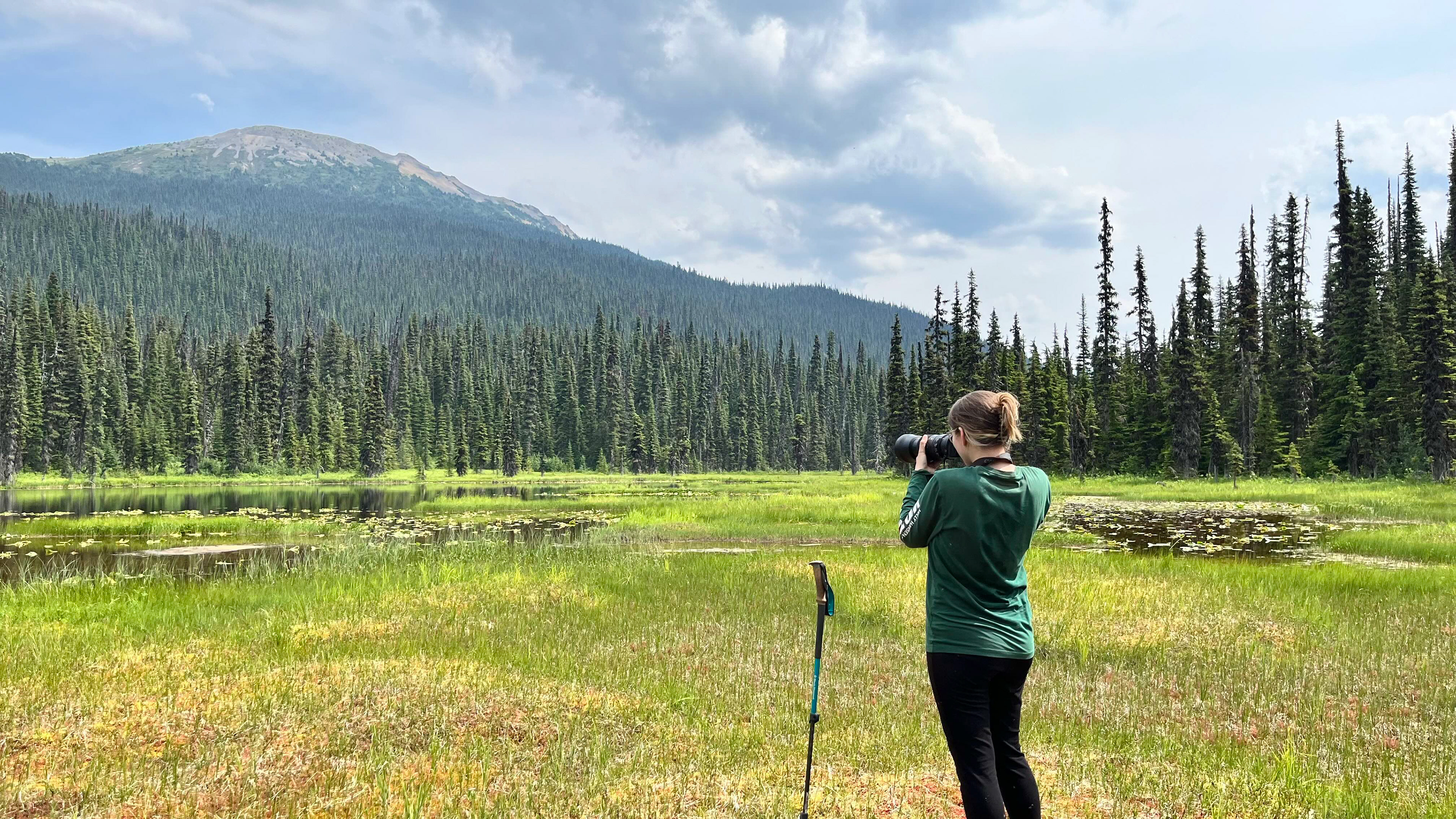 (There was a Canvasback out there)