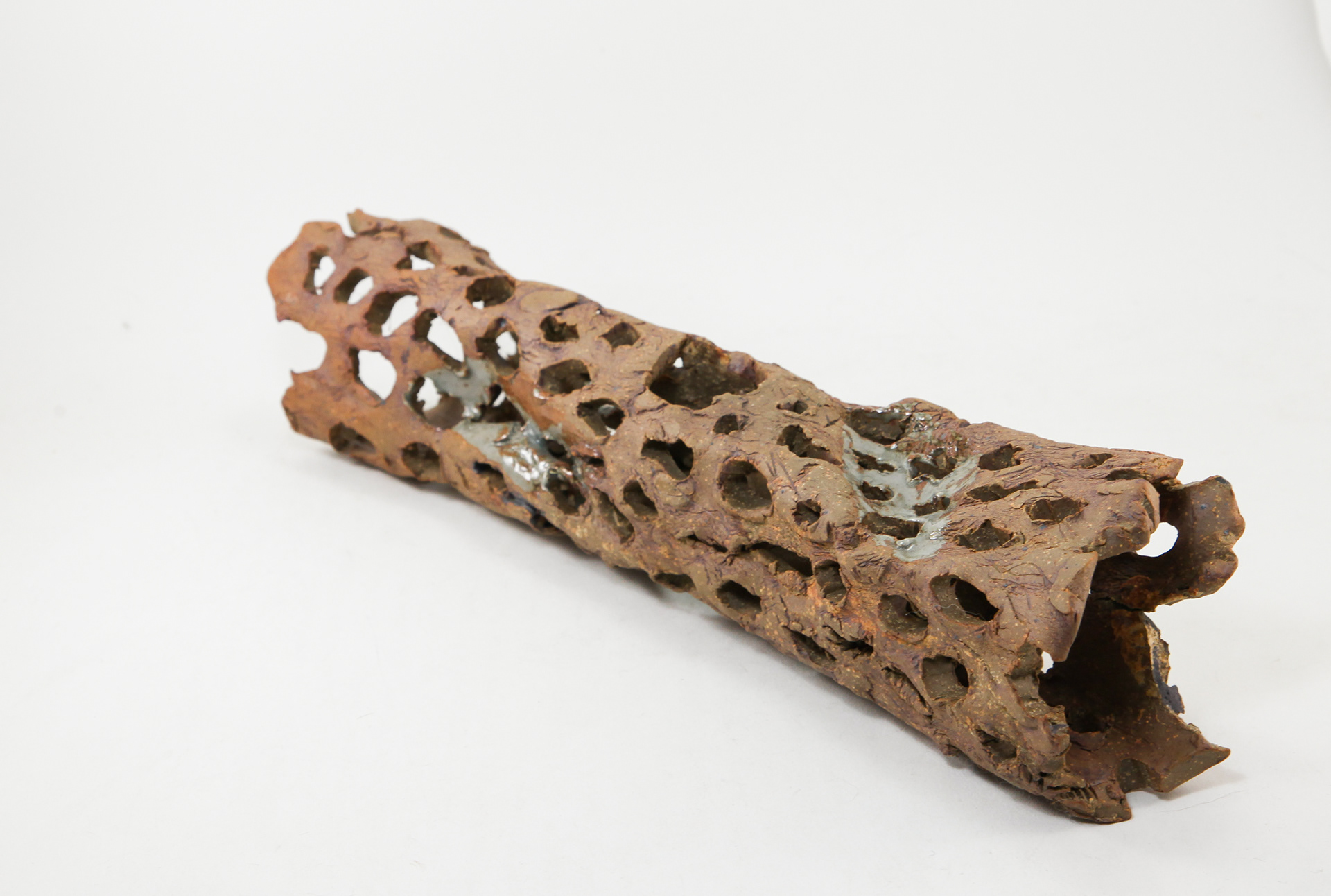 Cholla Skull Sculpture