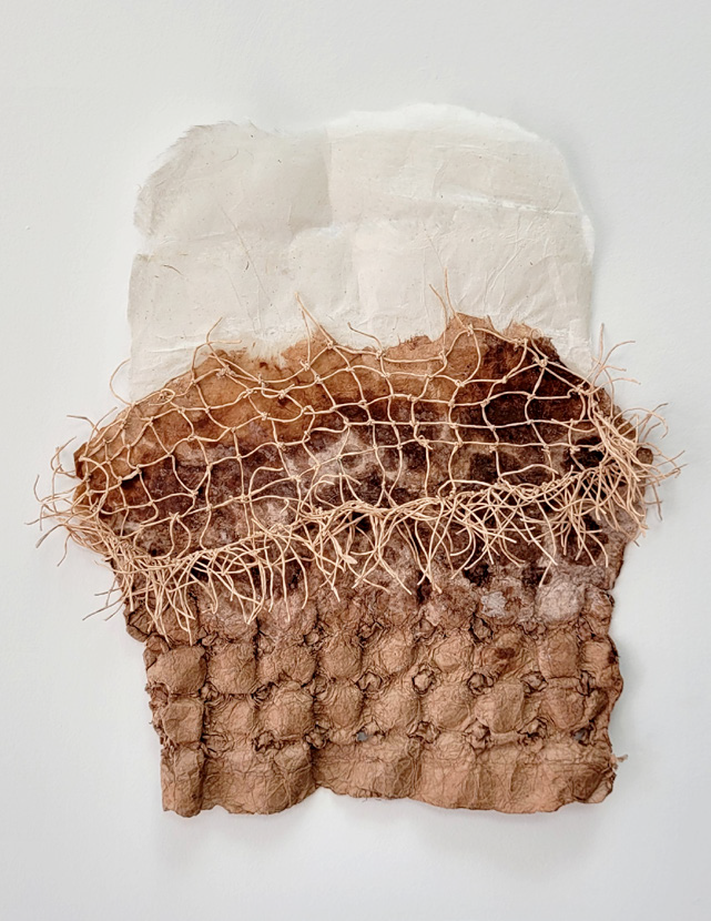 Marie Lhomet / Papier Kakishibu / 2023