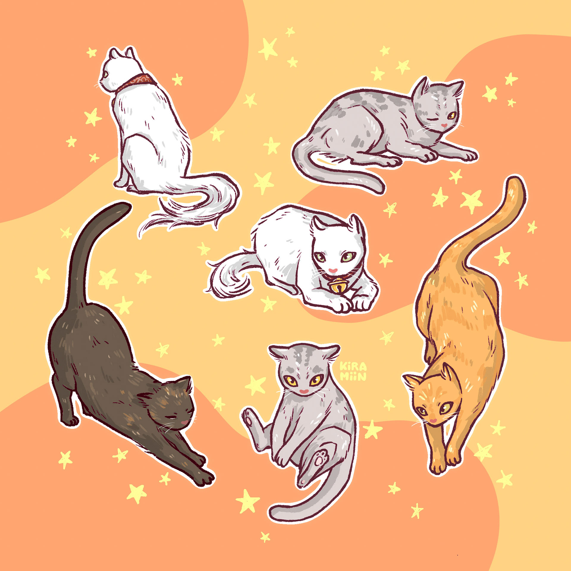 Cats