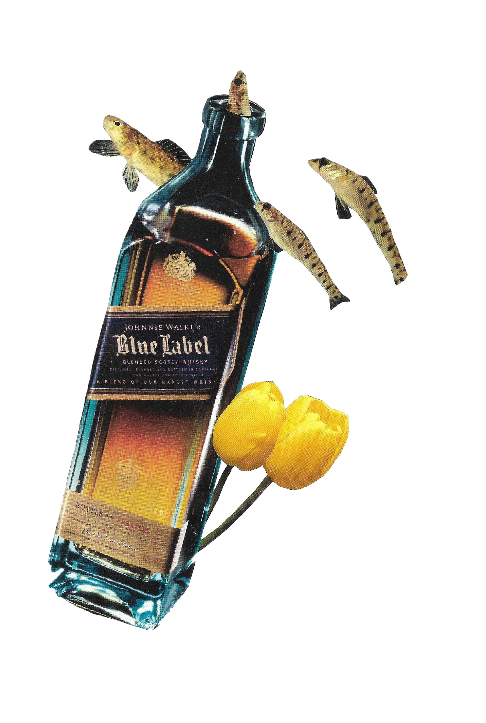 Cheers