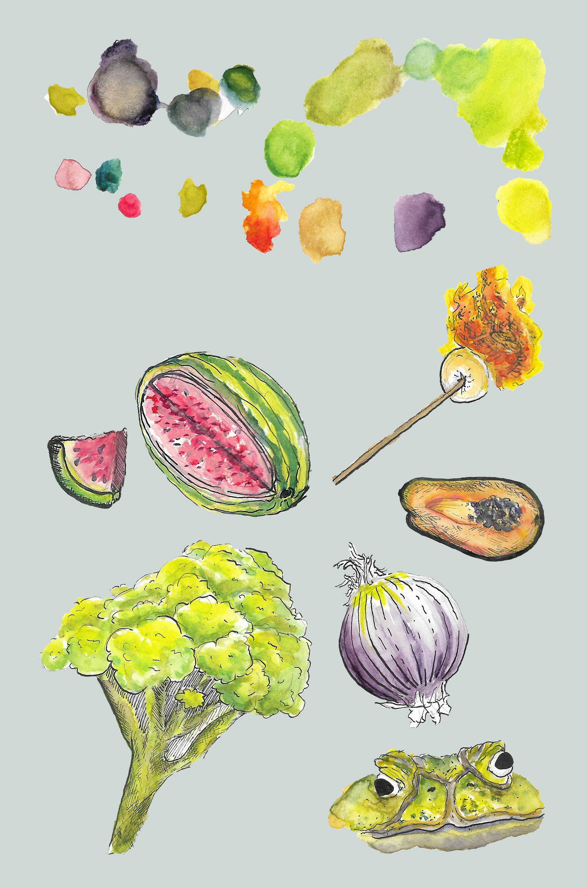 Food & Color Study 3