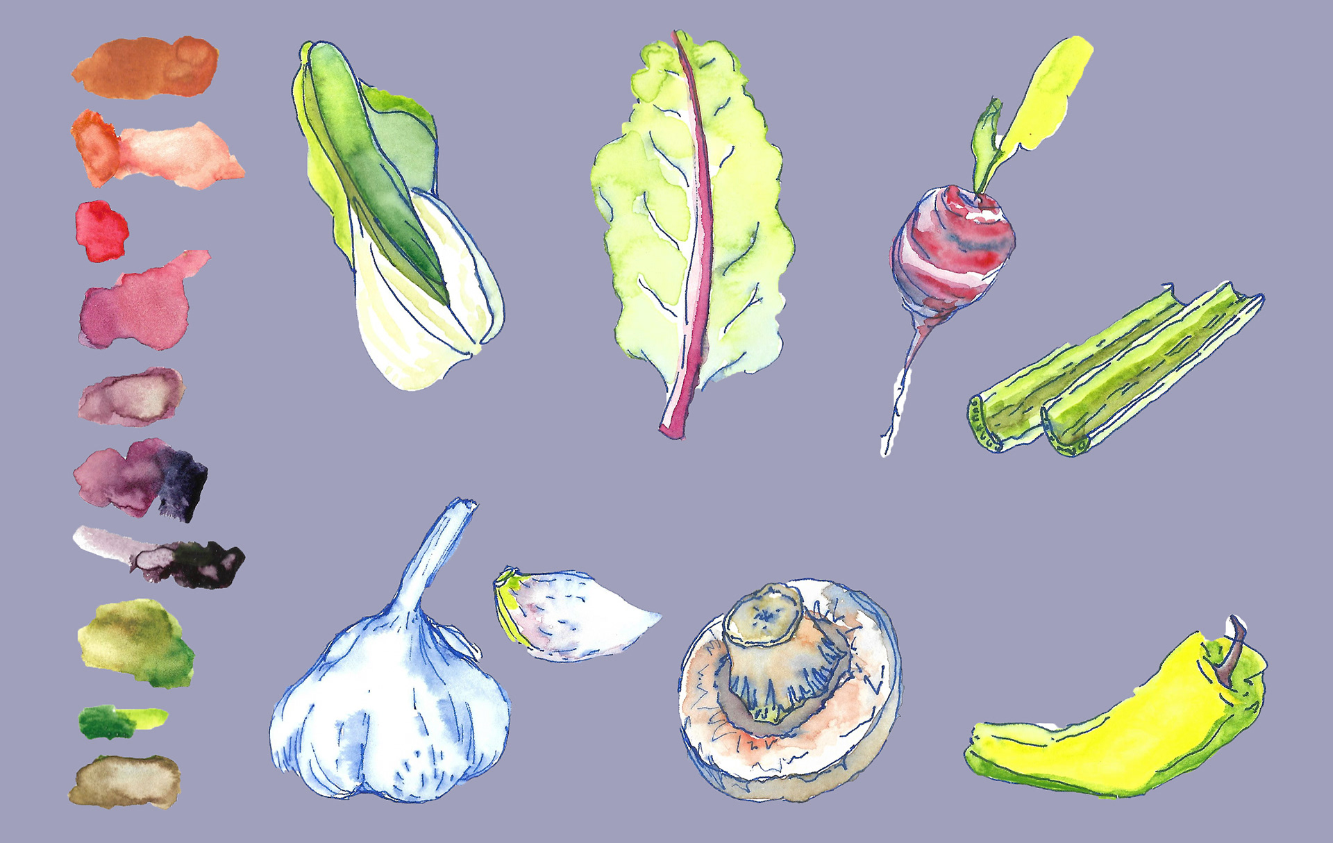 Food & Color Study 1