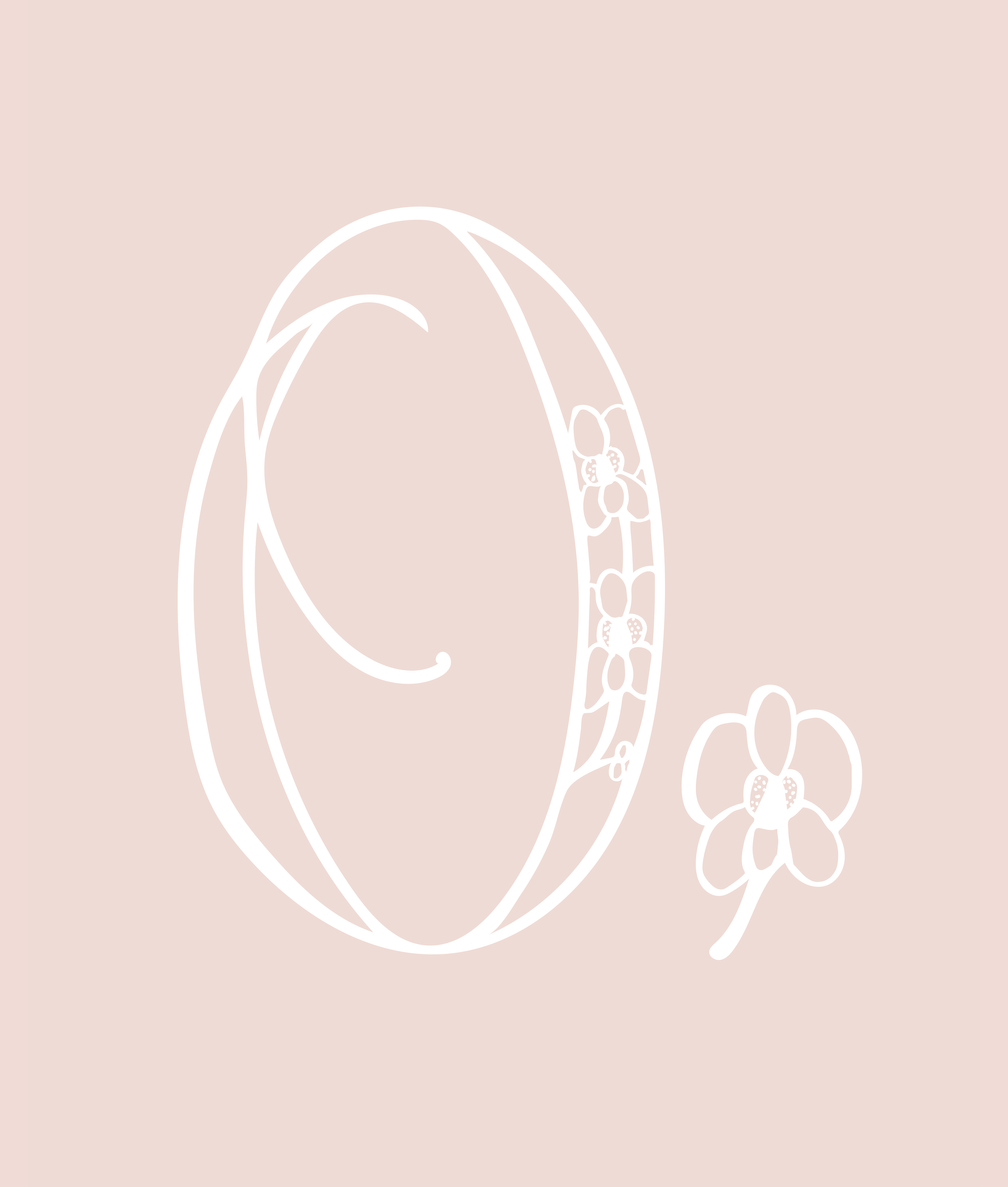 O for Orchid