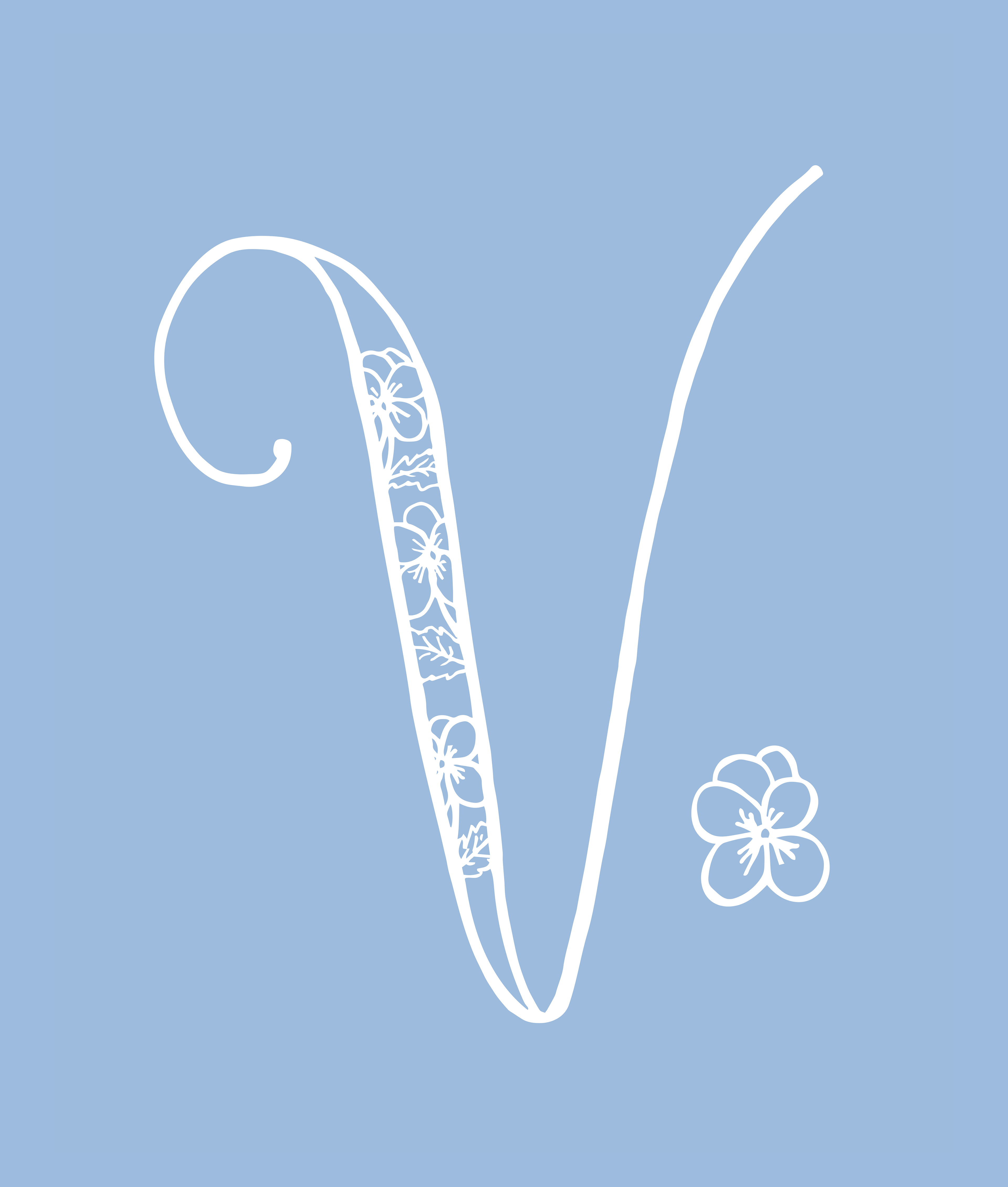 V for Viola