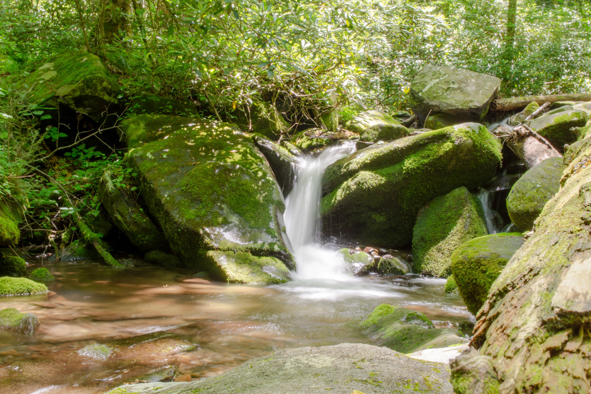 Smooth waterr runs downstream