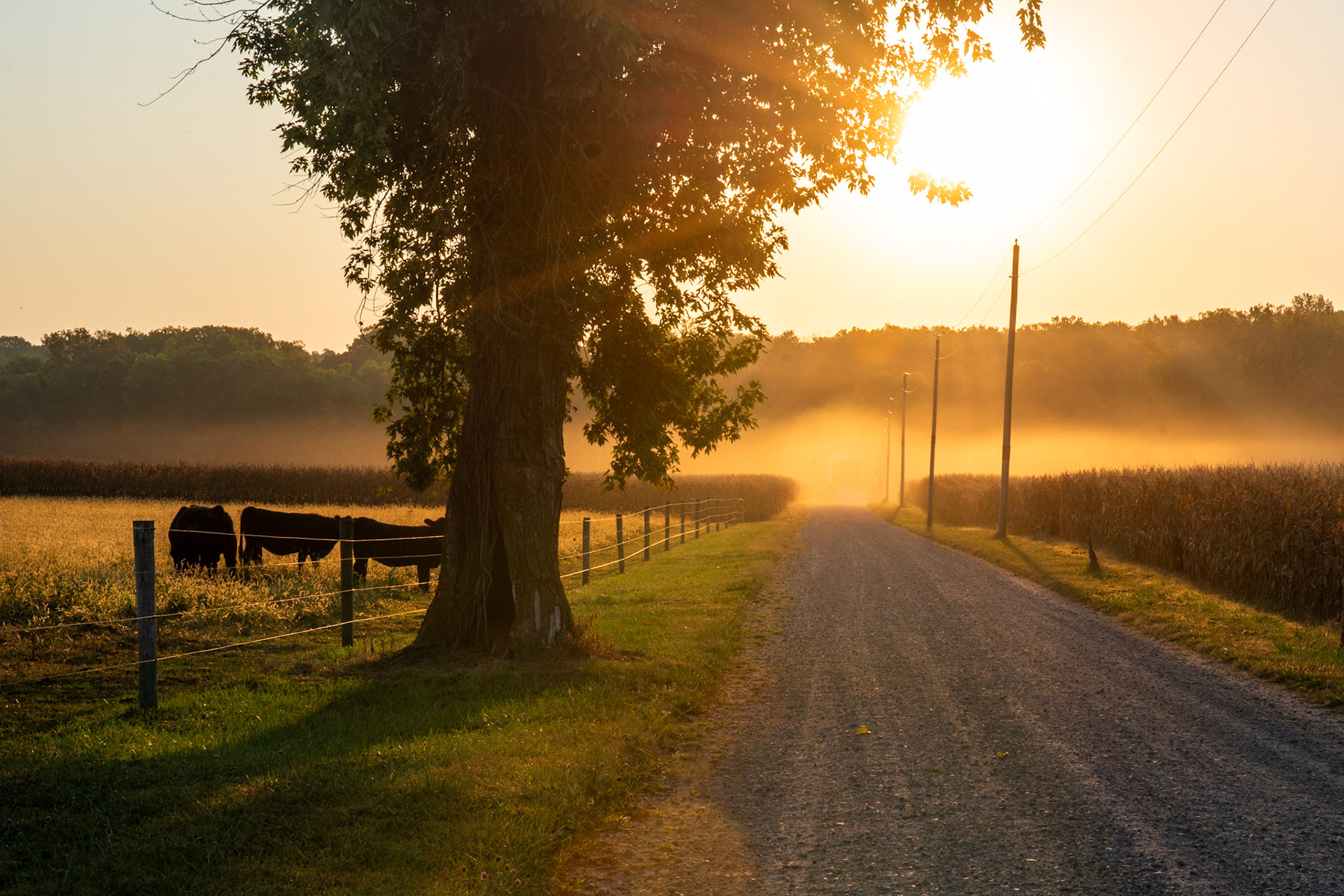 Sun rises over a gravel road in rural America