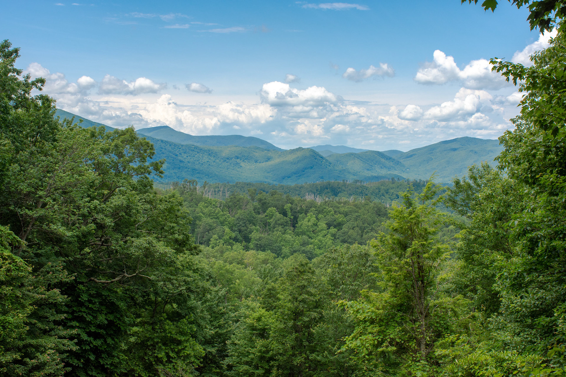 Mountain clearing of trees reveals distant mountains