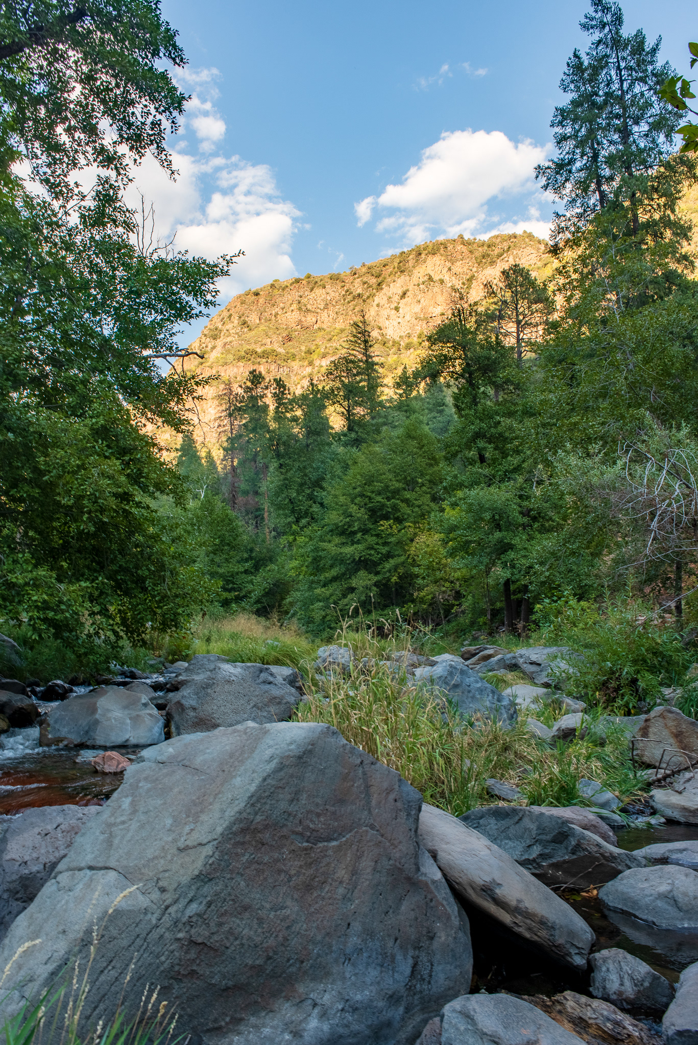 Peaceful Stream near Sedona, Az