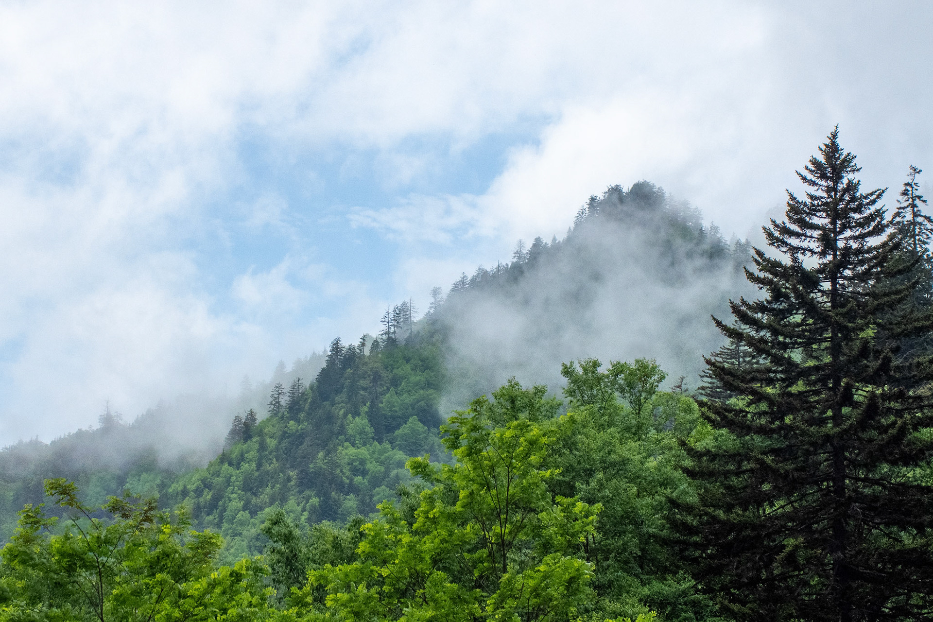 Clouds mask a mountain peak in the Smoky Mountains