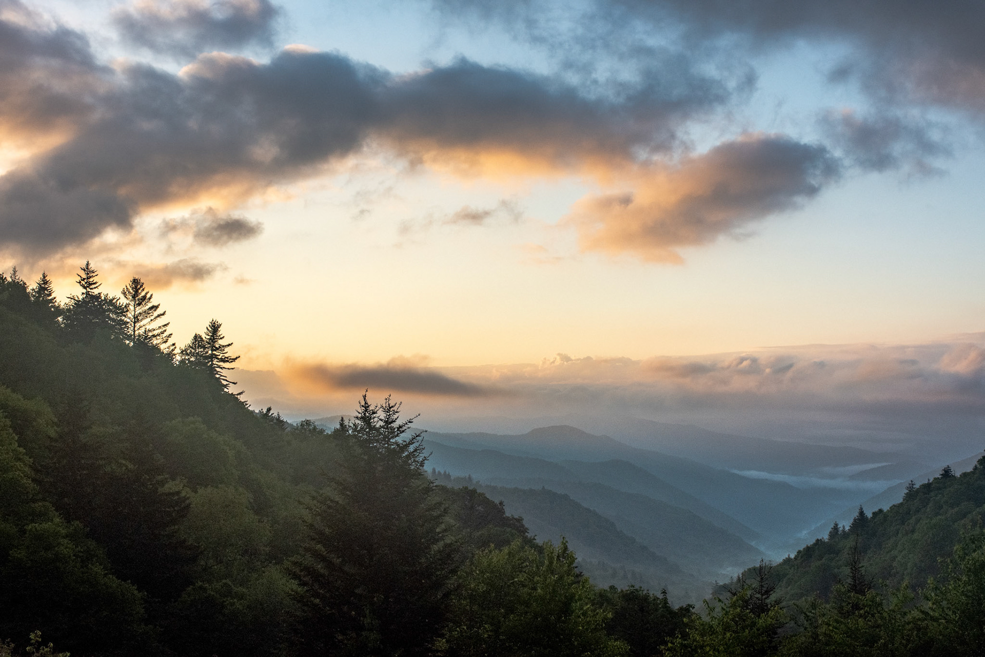 Morning Sunrise in Smoky Mountains