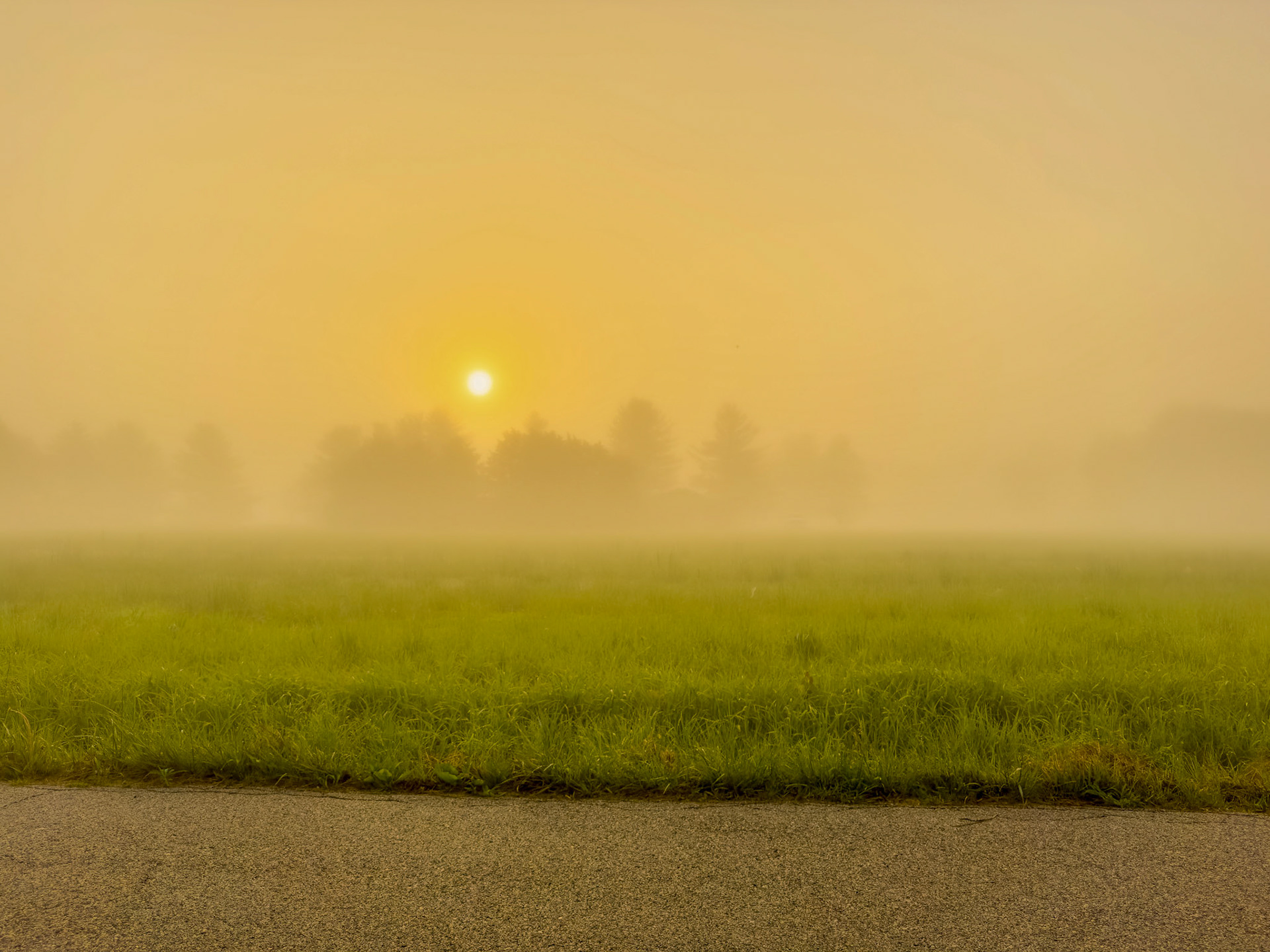 The monring sun breaks through a dense fog in the country