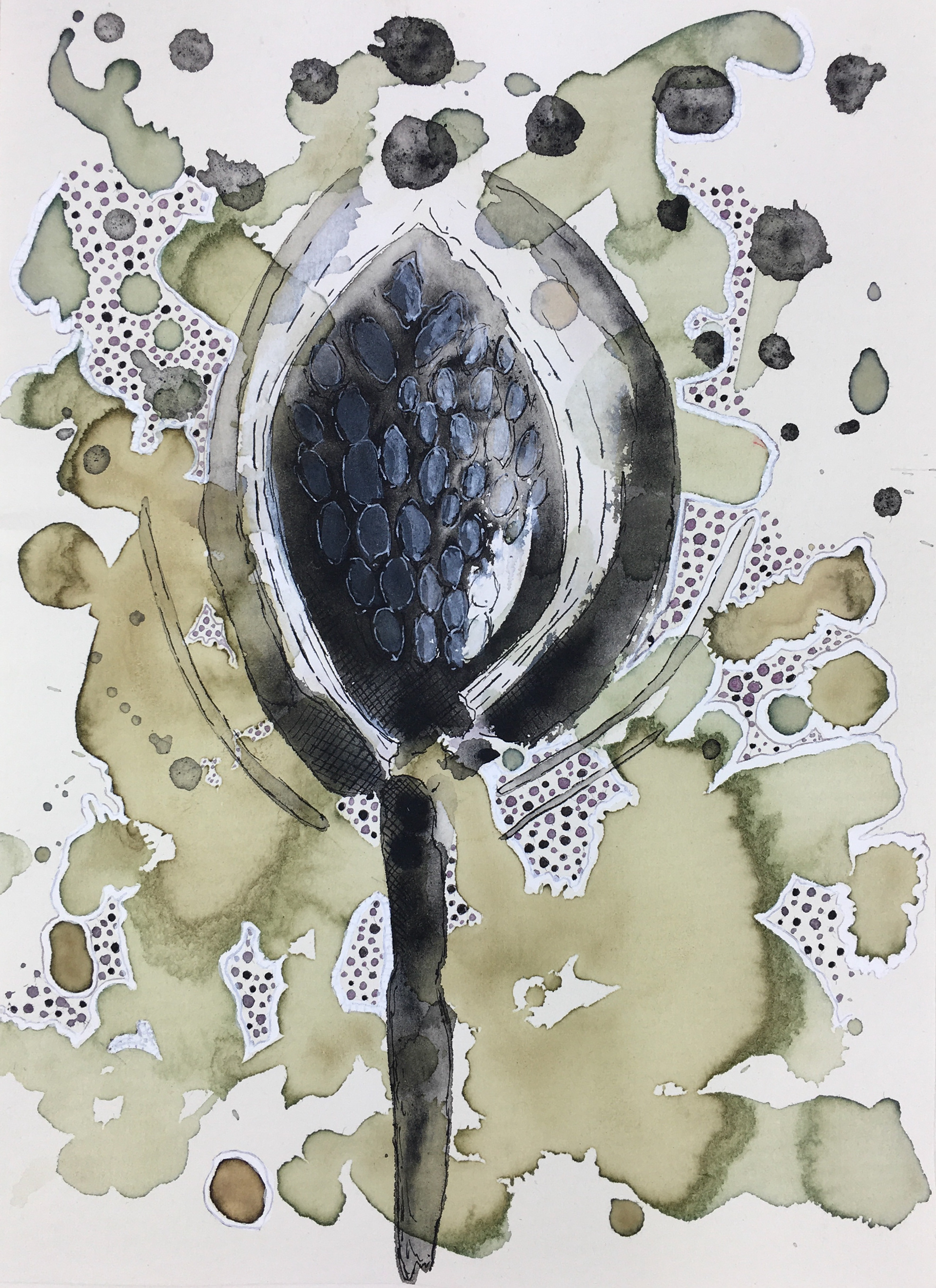 21.0 x 29.7 cm