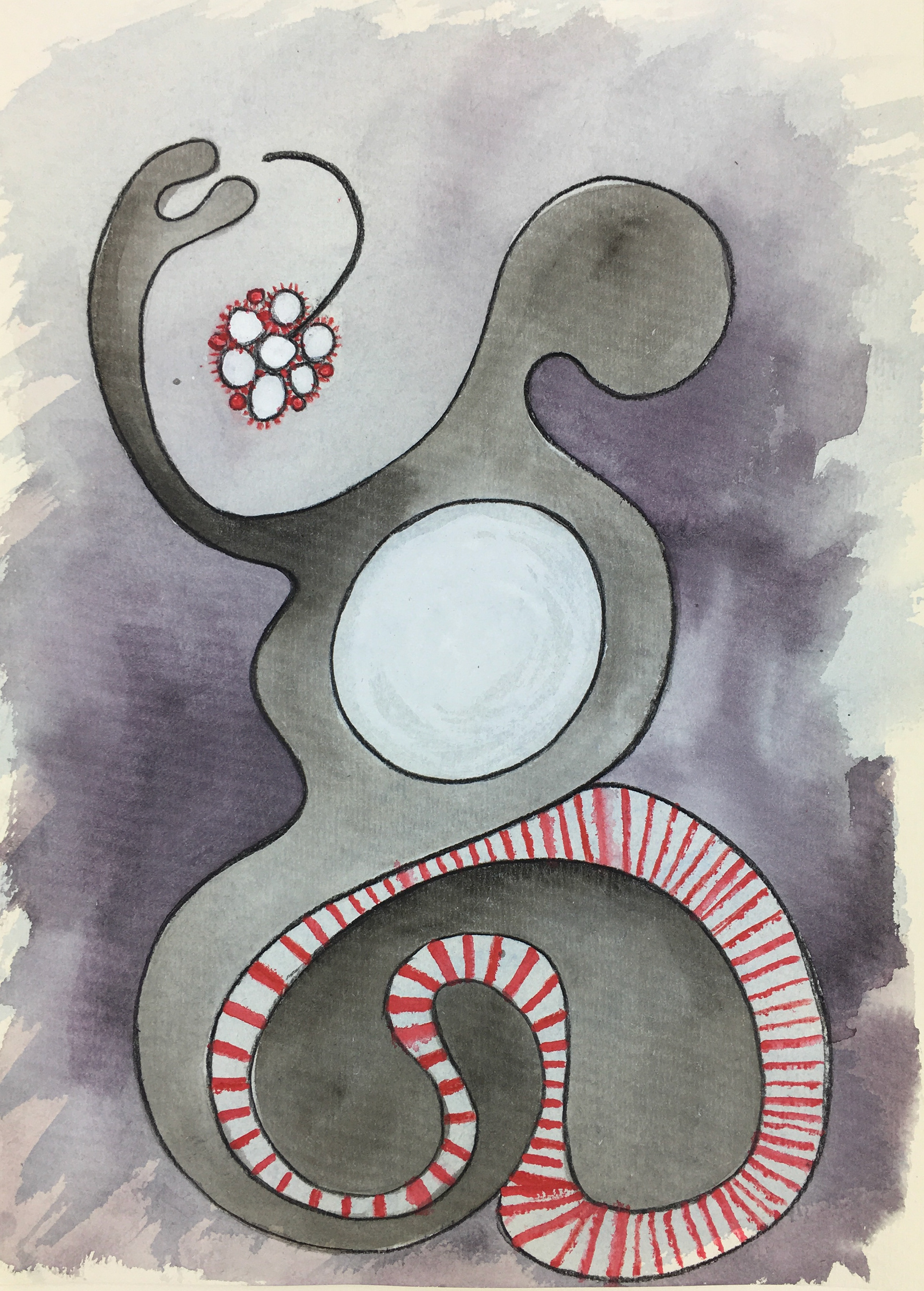 21.0 x 29.7 cm