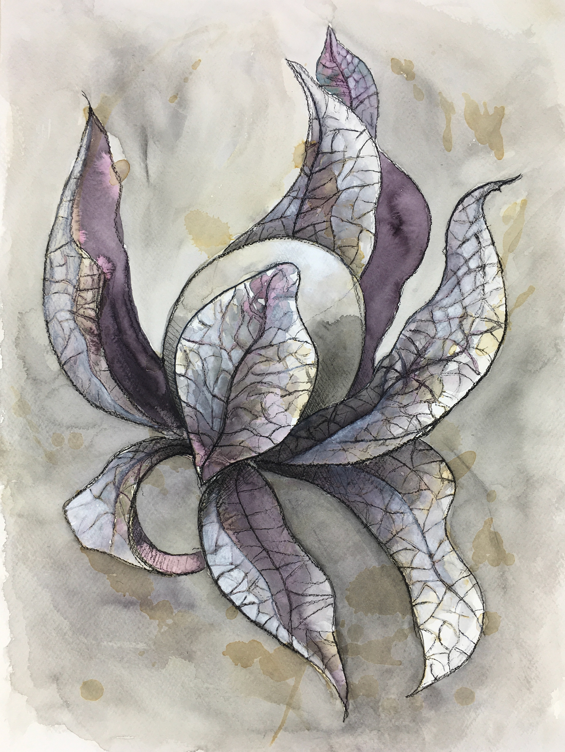 29.7 x 42.0 cm