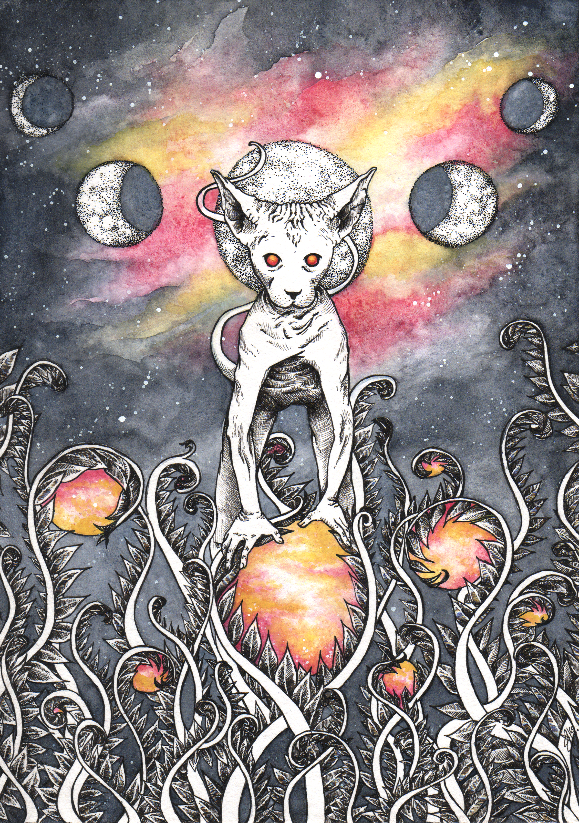 Space Kitty
