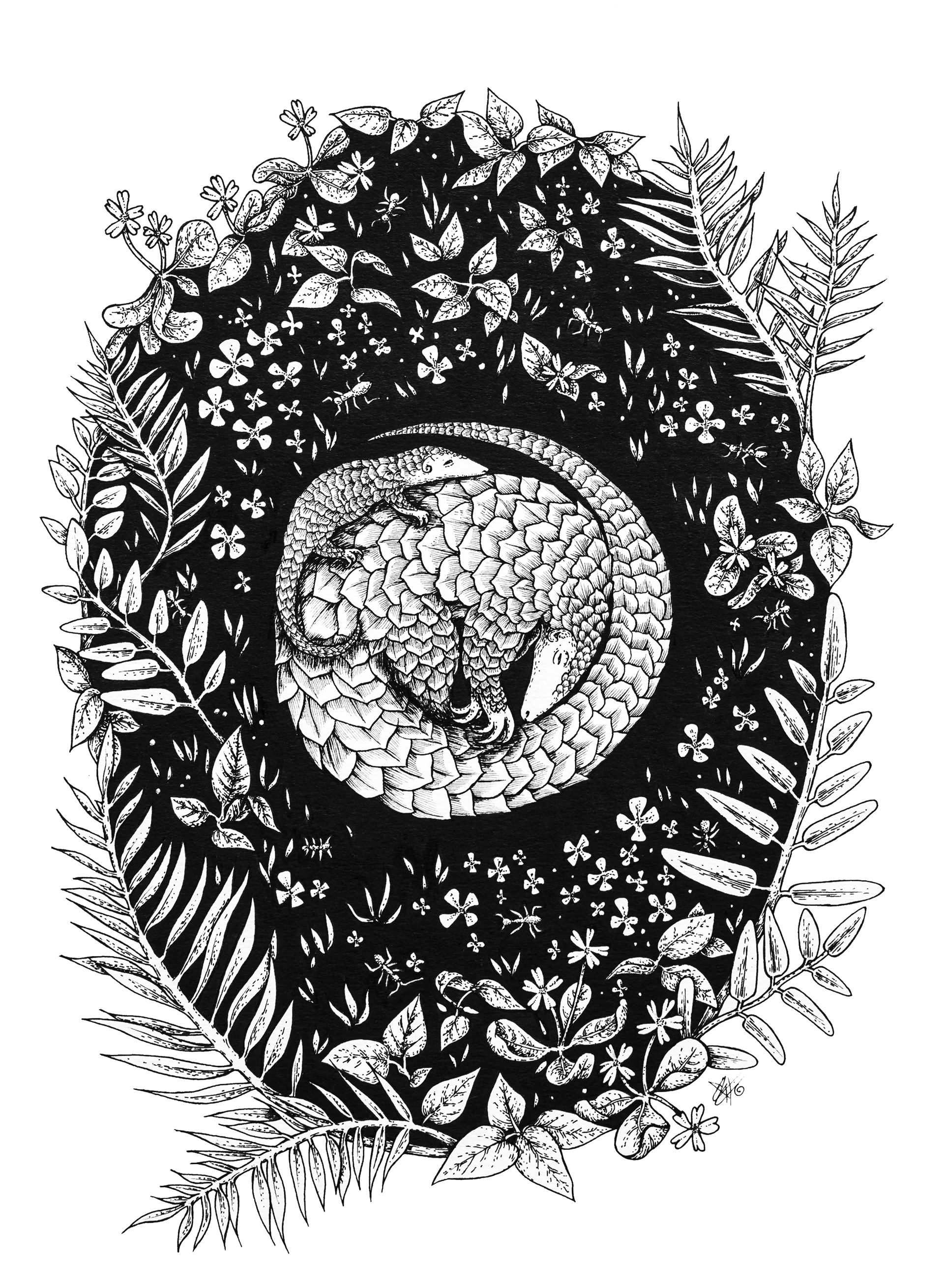 Pangolin Family
