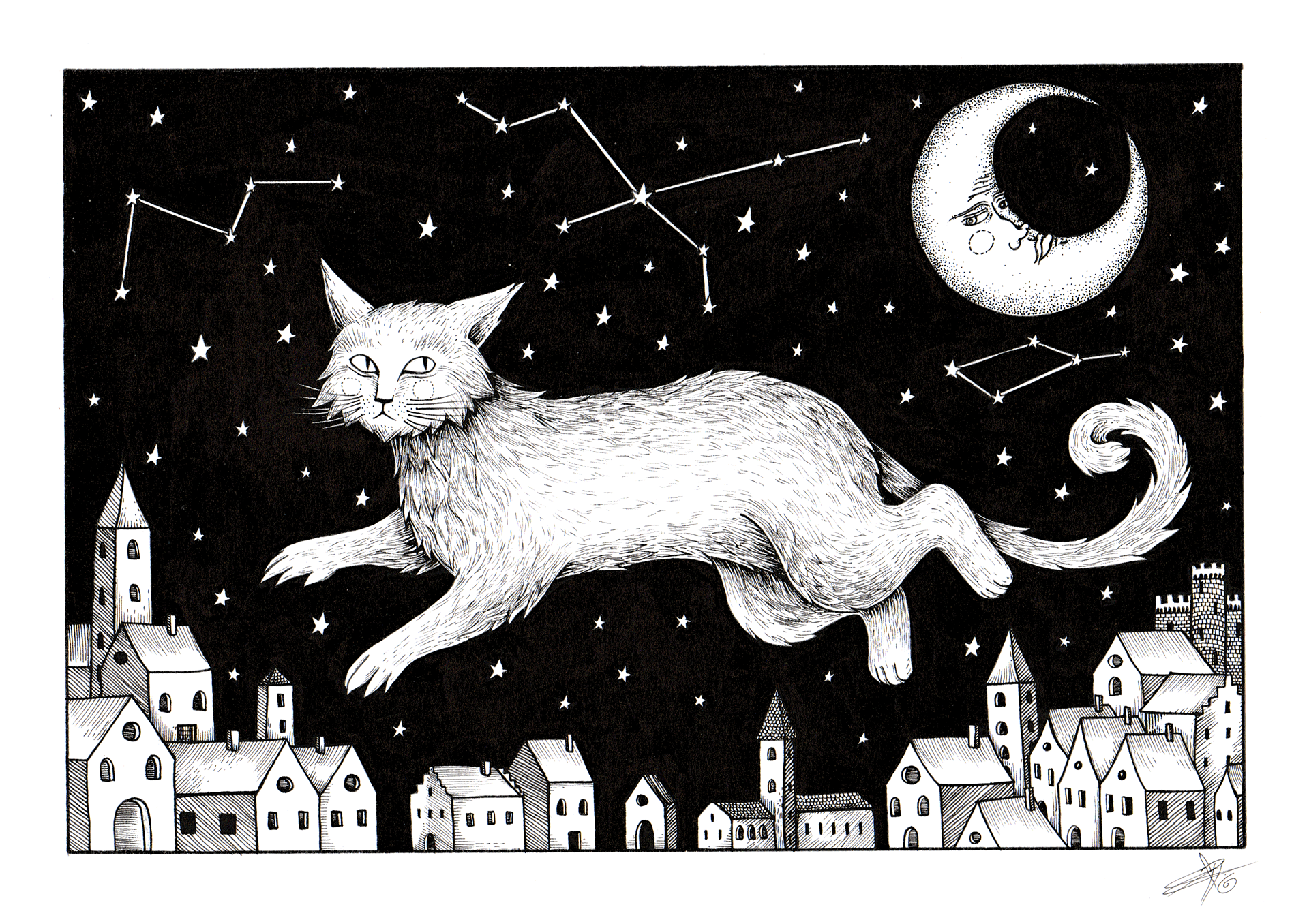 Flying Night Critter