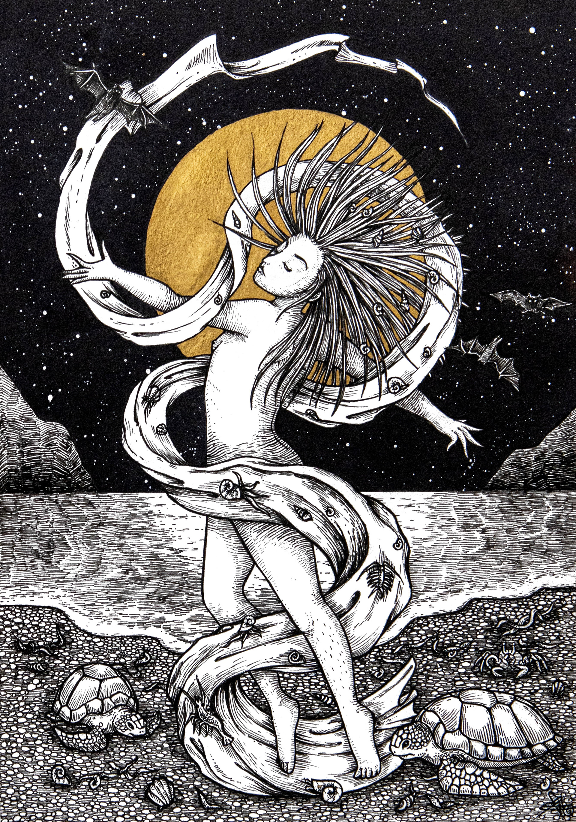 The Rebirth Of Venus