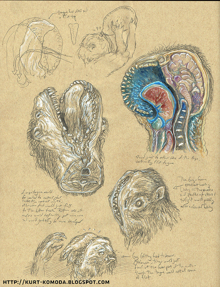 Gug Head Anatomy, pencil and watercolor.