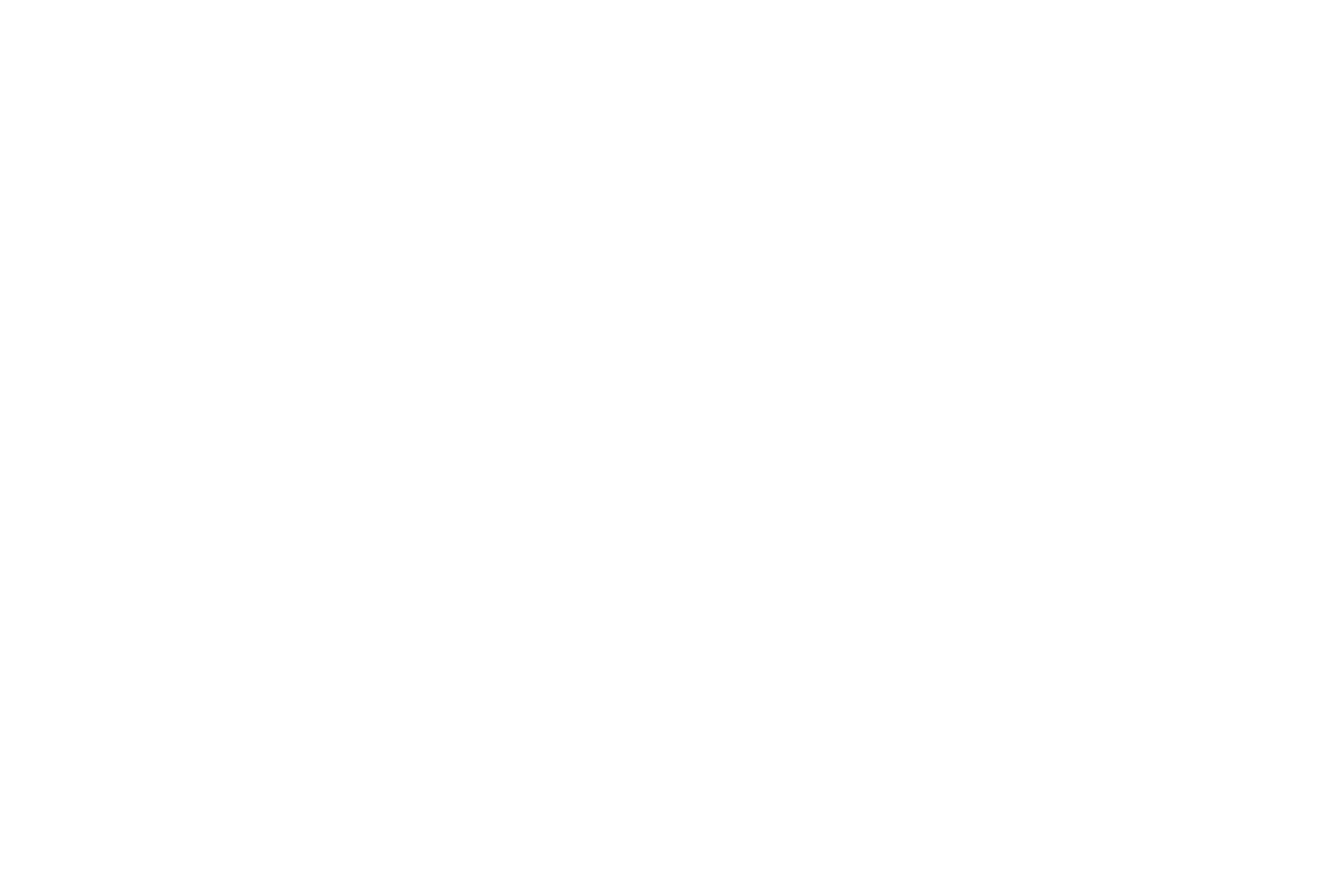 Karl Schmidt