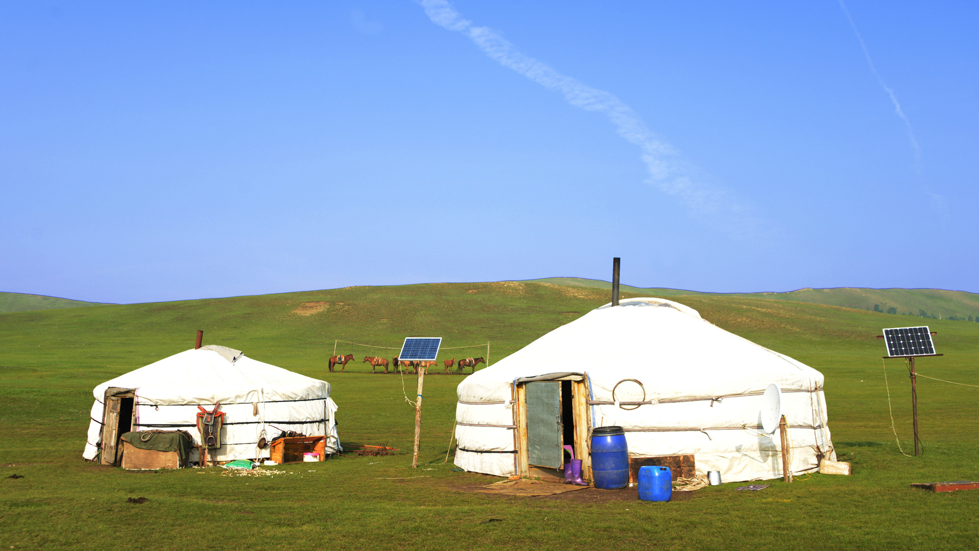 Mongolian summer 2019