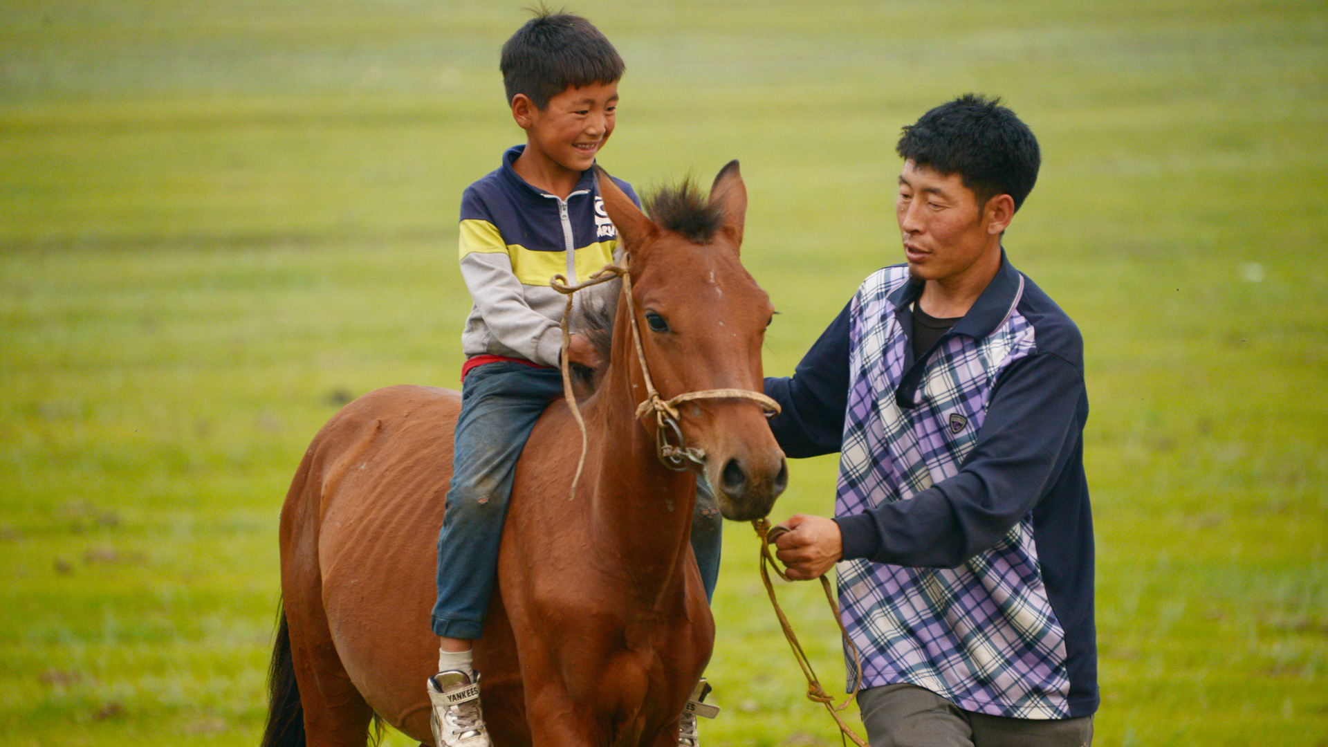Mongolian summer 2019