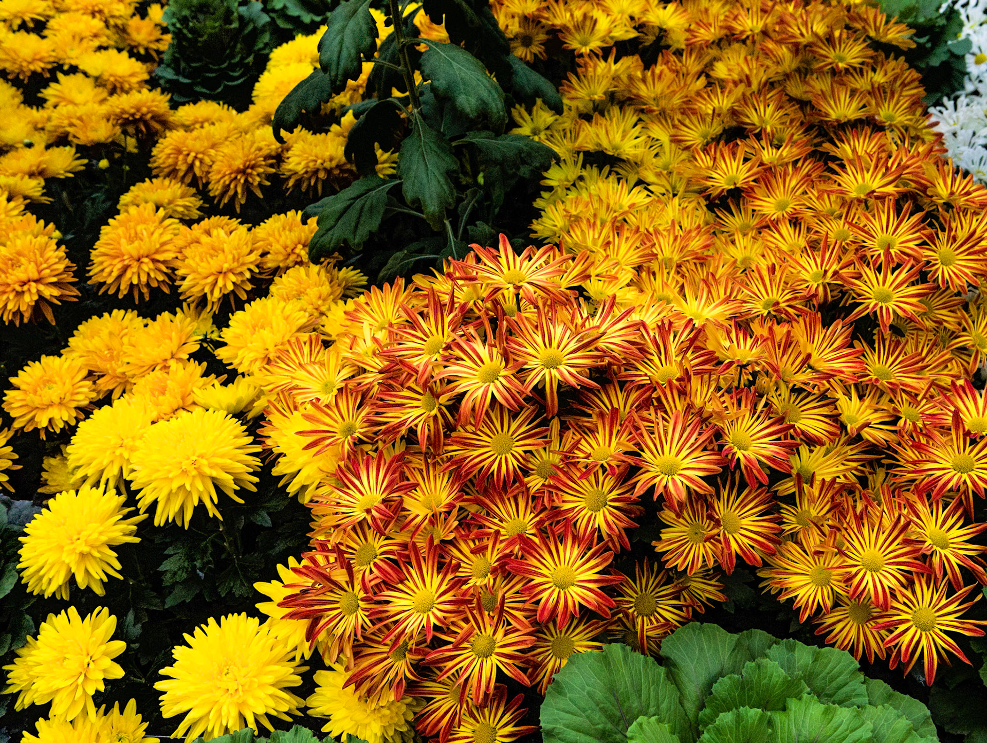 Meijer Gardens