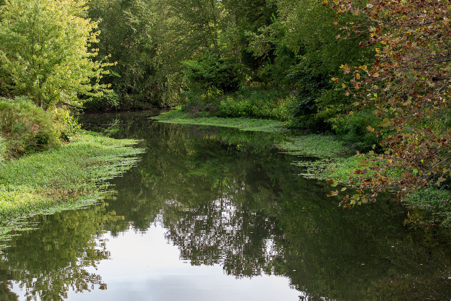 Forest Park