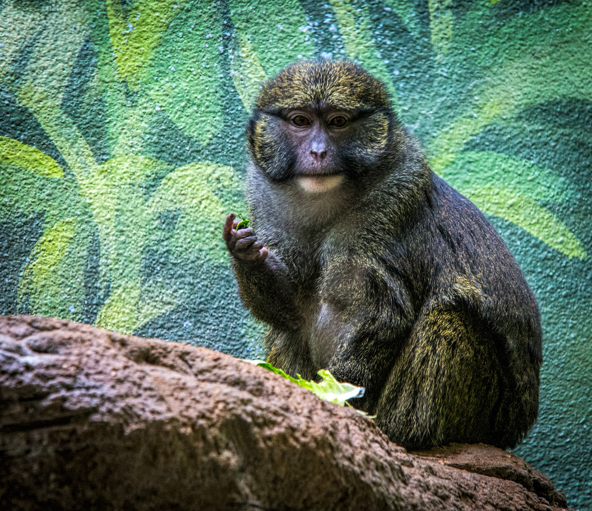 St. Louis Zoo