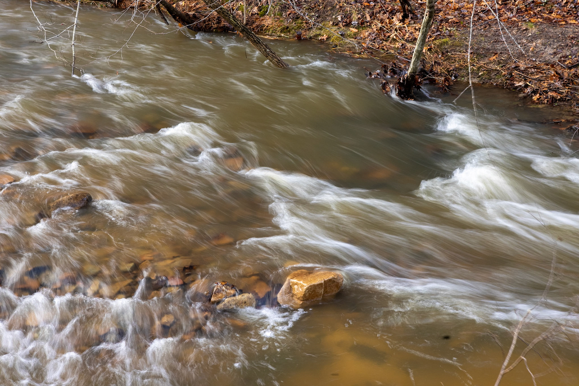 Hawn State Park