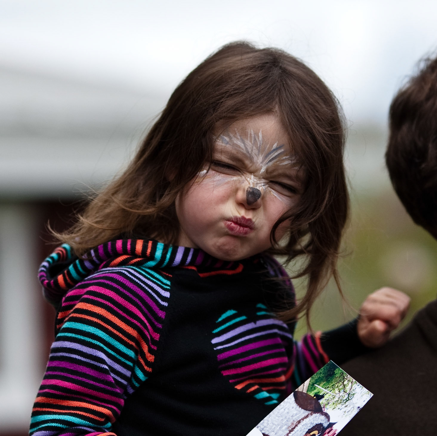 Raptor Fest