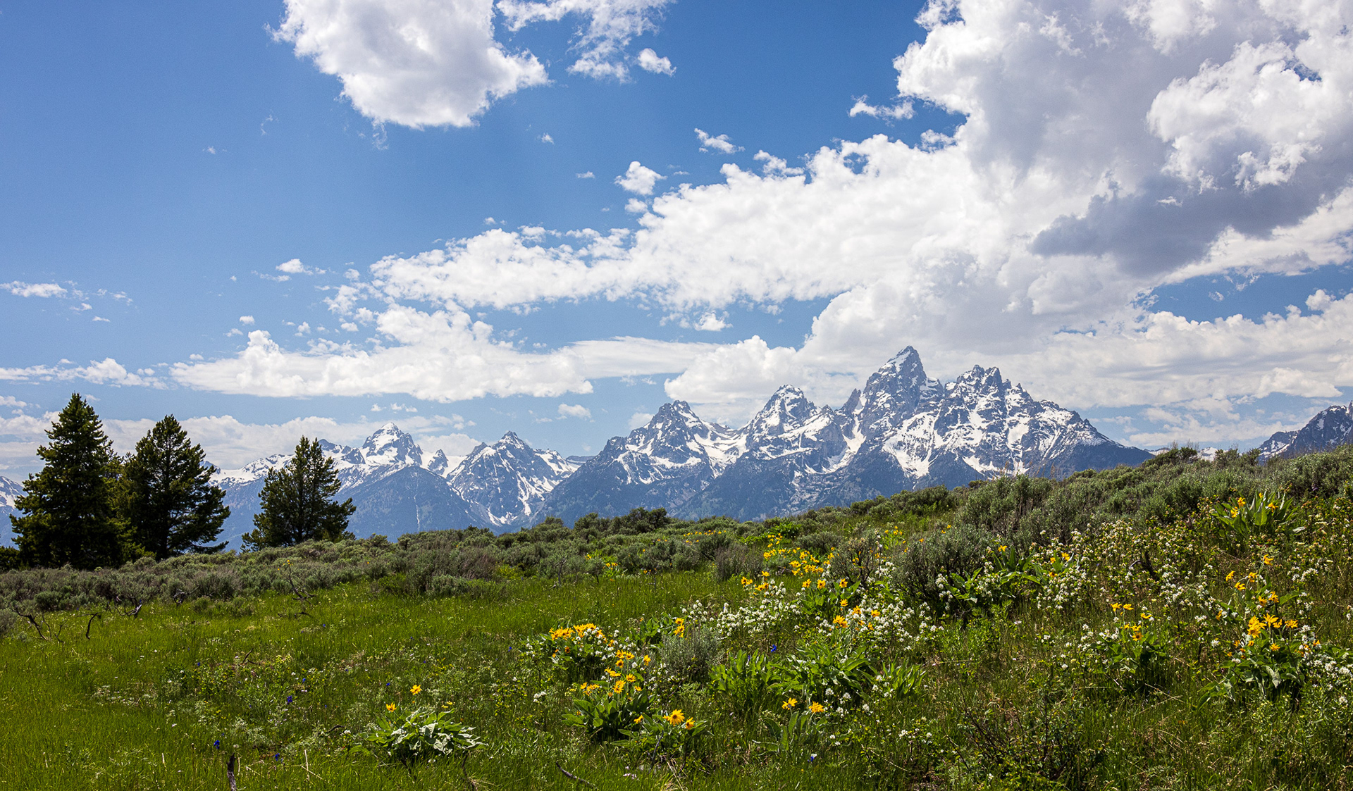 Grand Teton NP