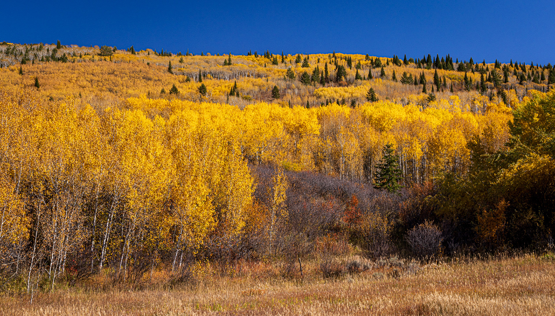 Stateline Road