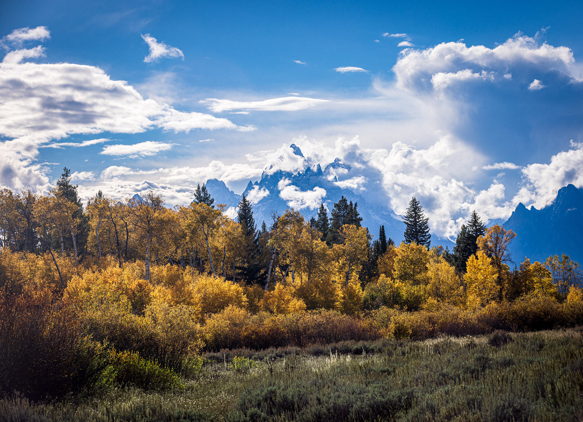 Grand Teton NP