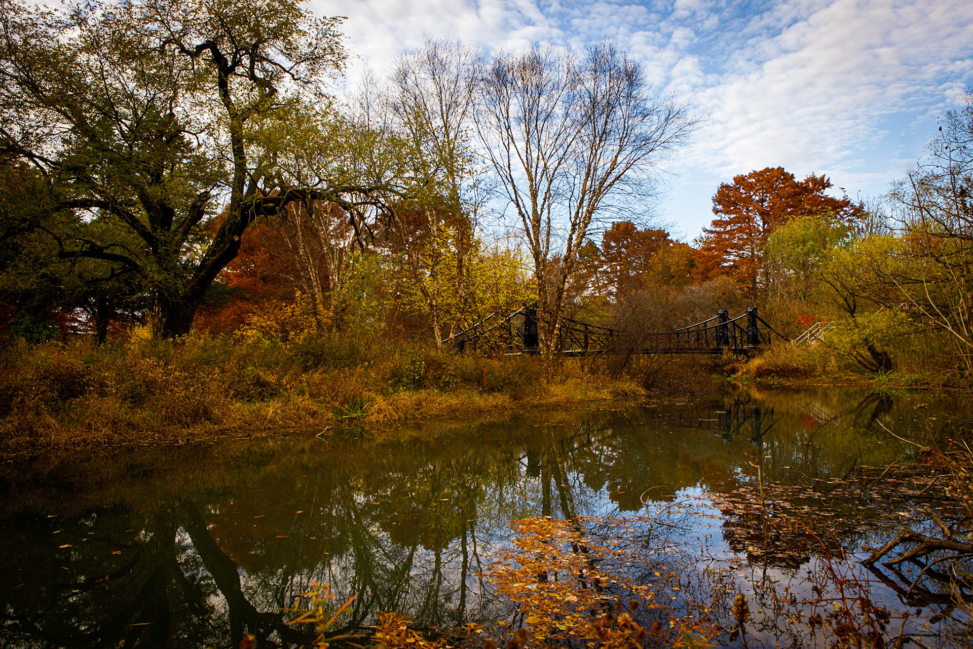Forest Park