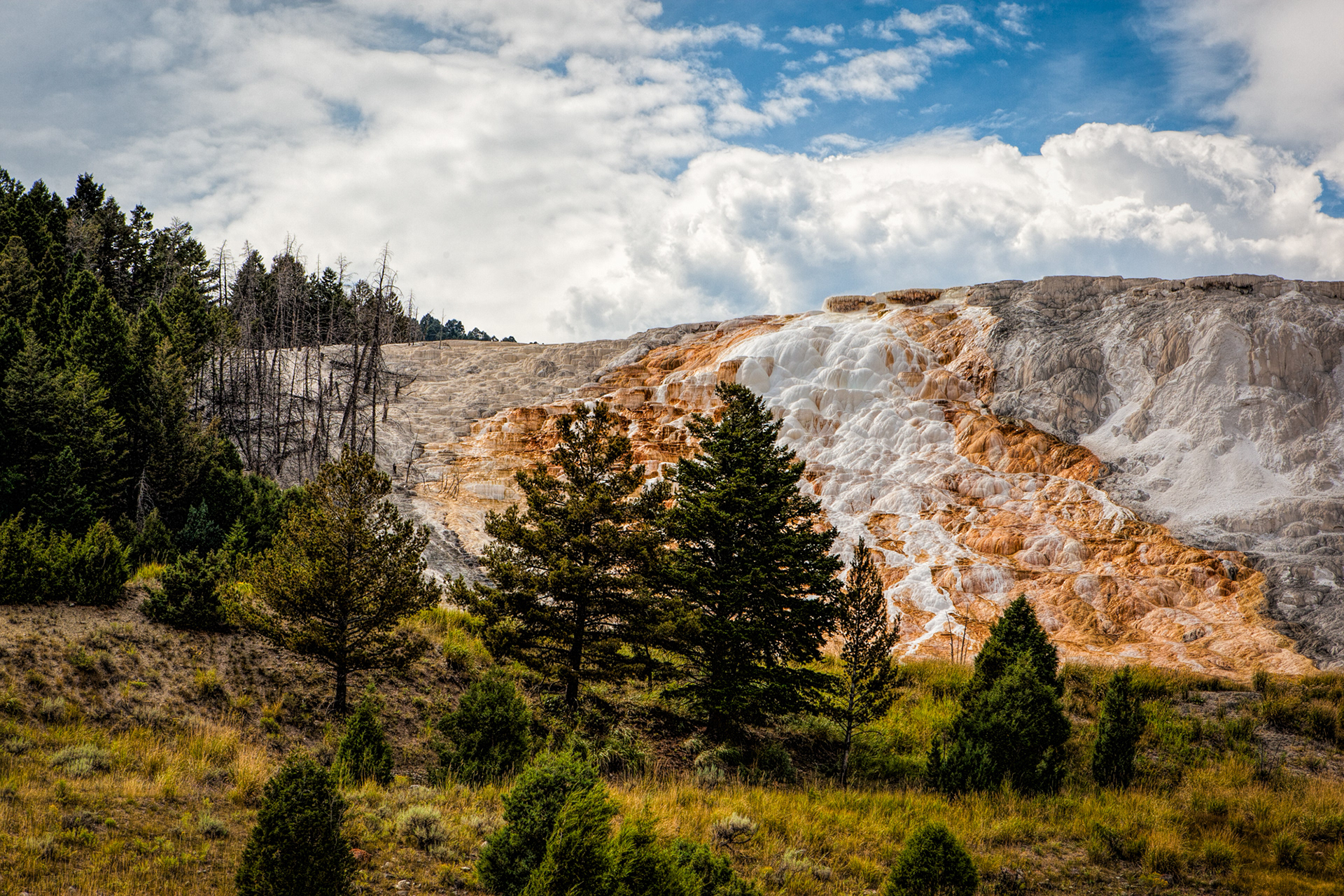 Mammoth Hot Springs