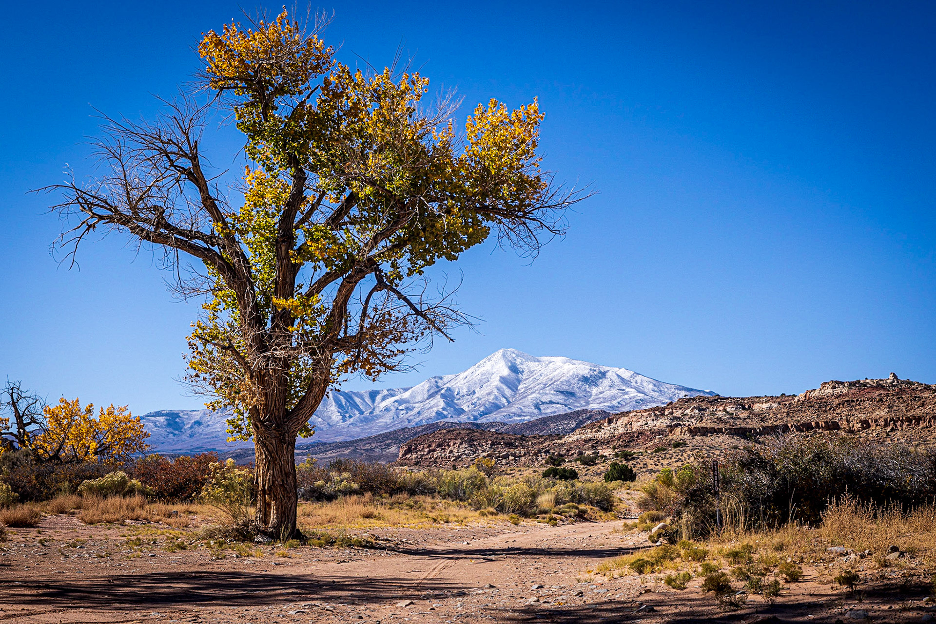Henry Mountains
