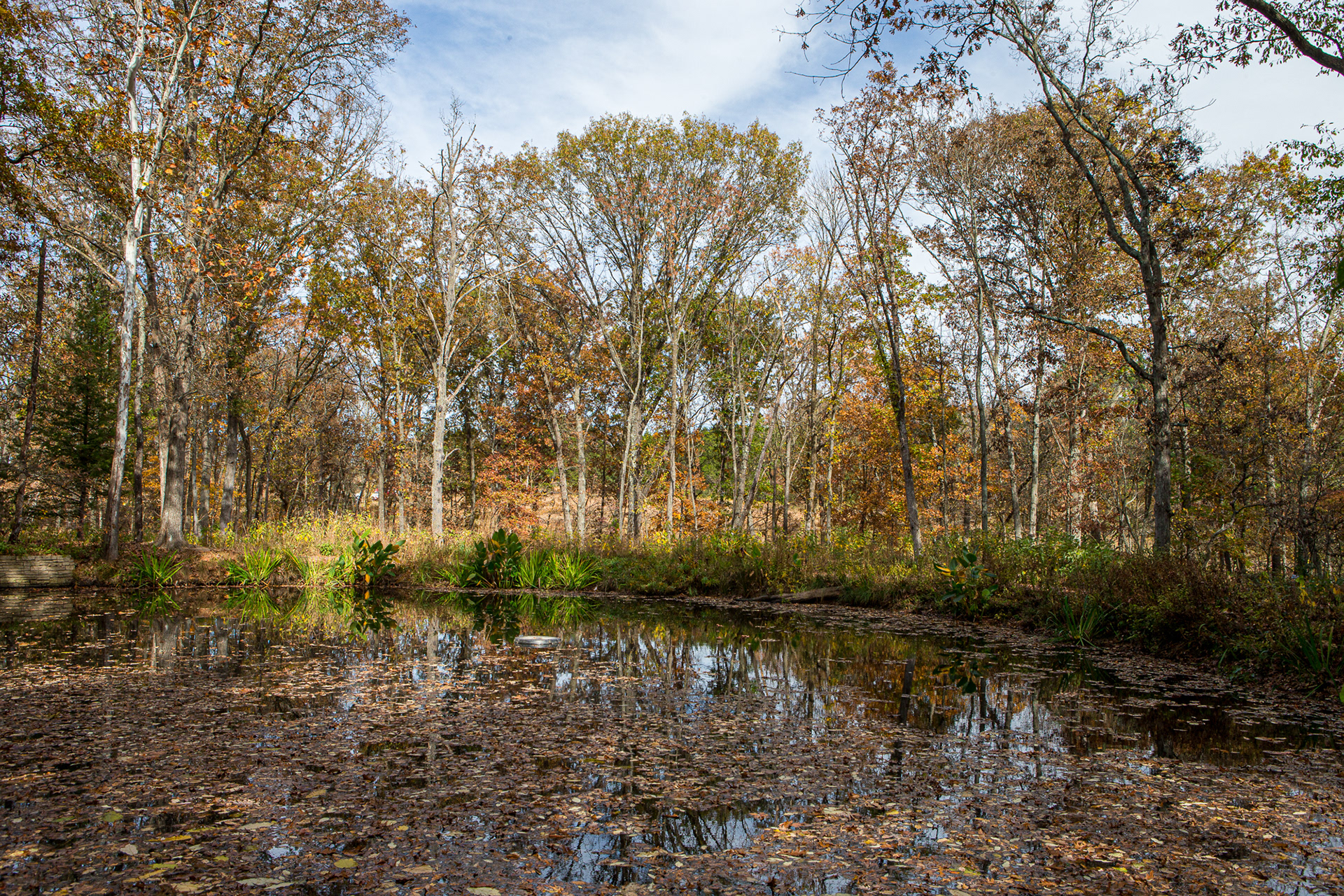 Shaw Nature Reserve