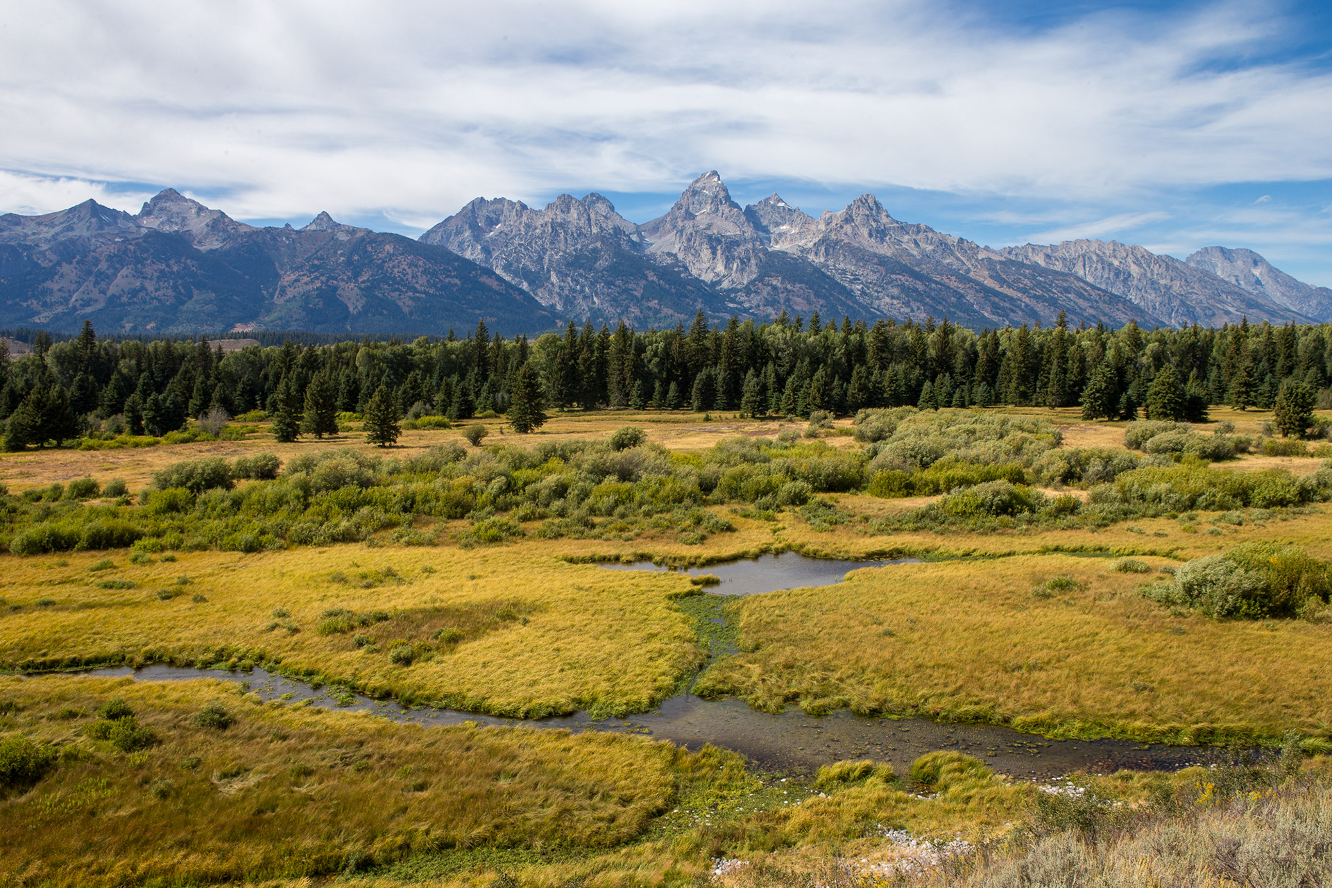 Blacktail Ponds Overlook