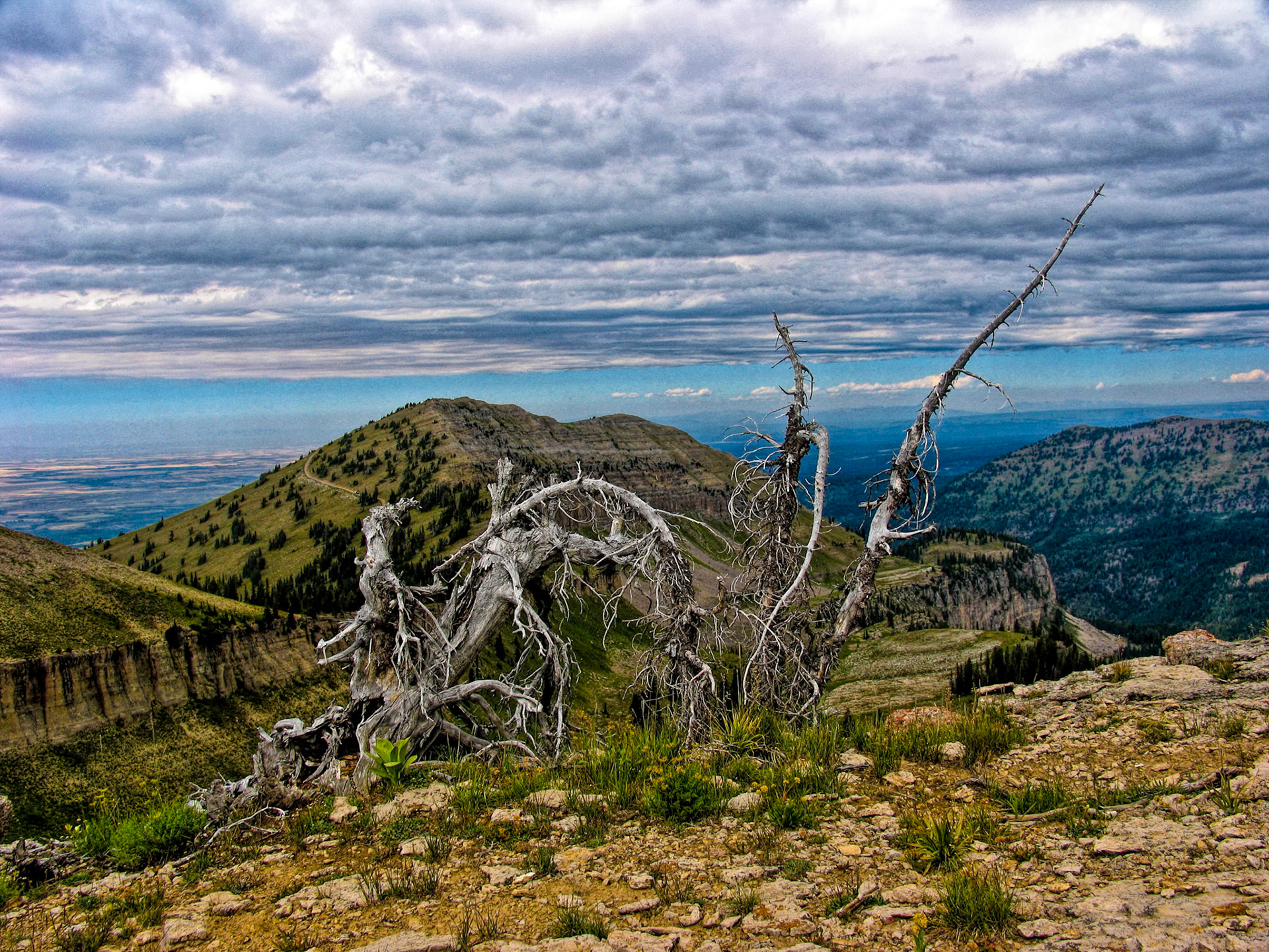 Colorful setting - 9943 - Targhee NF