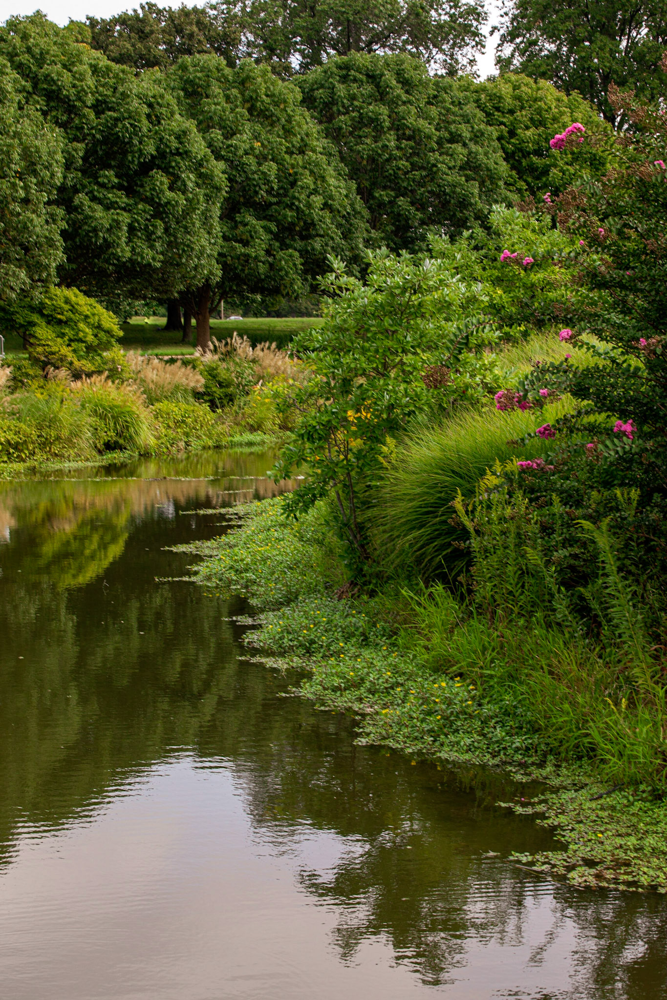 Forest Park